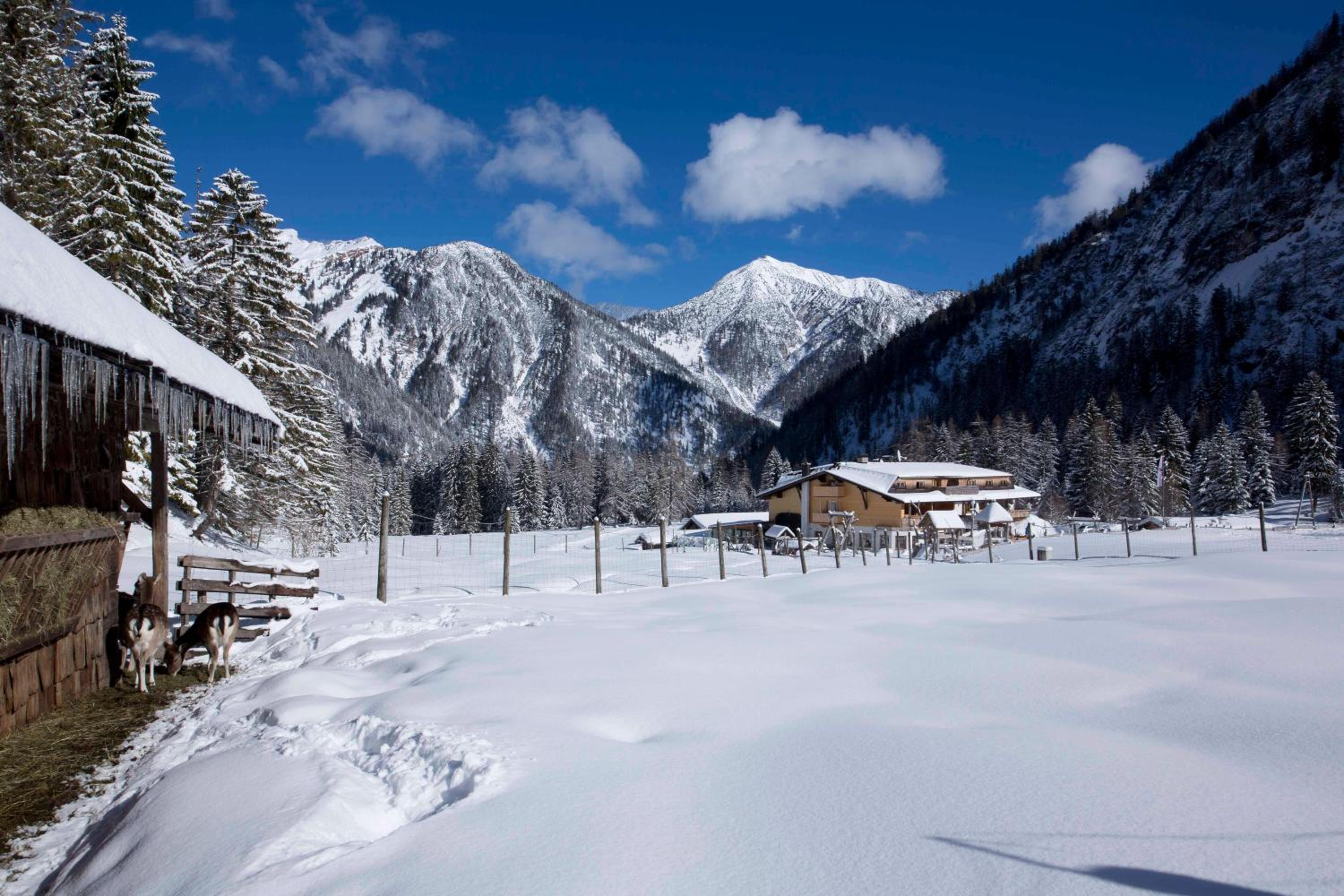 Alpengasthof Gern Alm