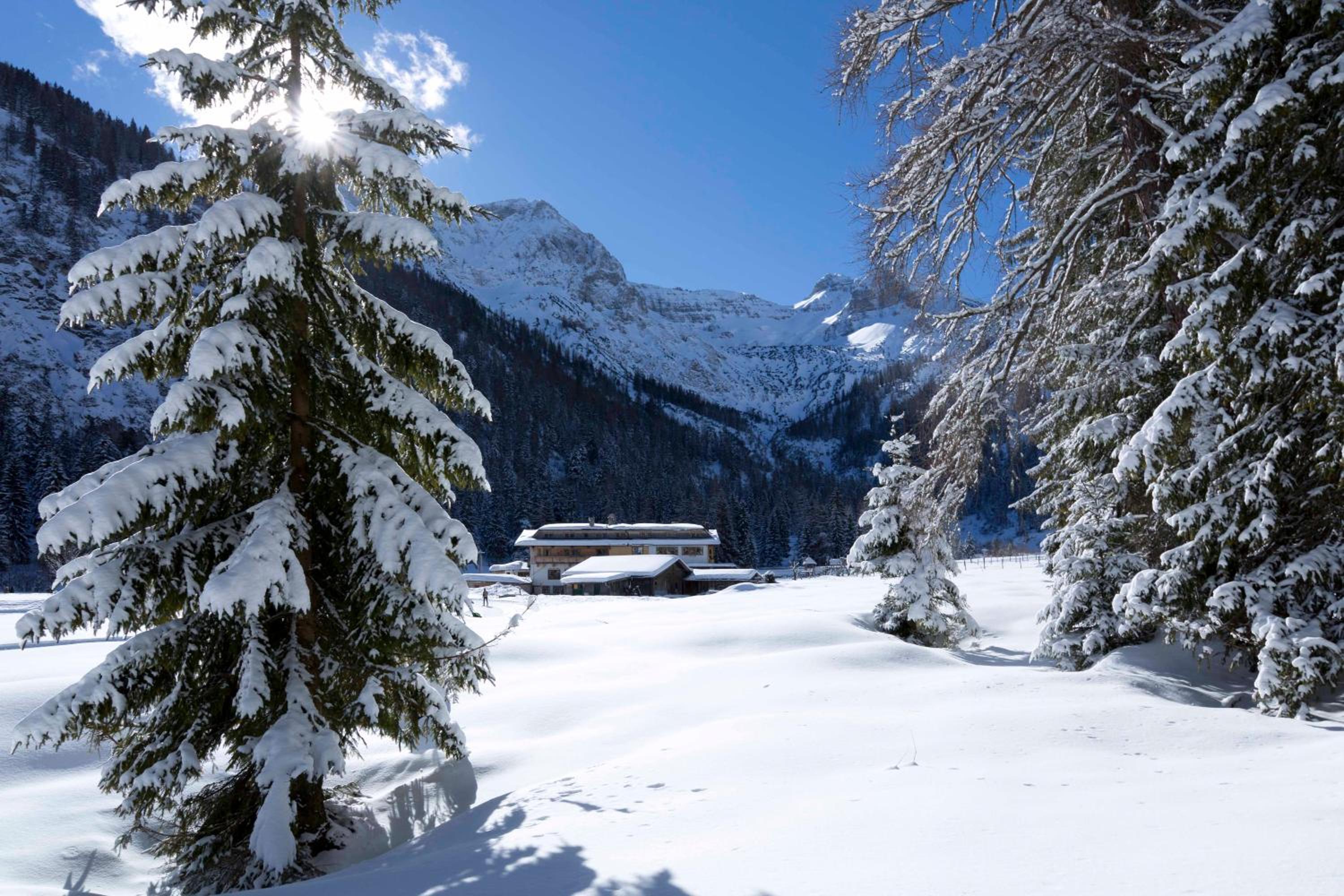 Alpengasthof Gern Alm