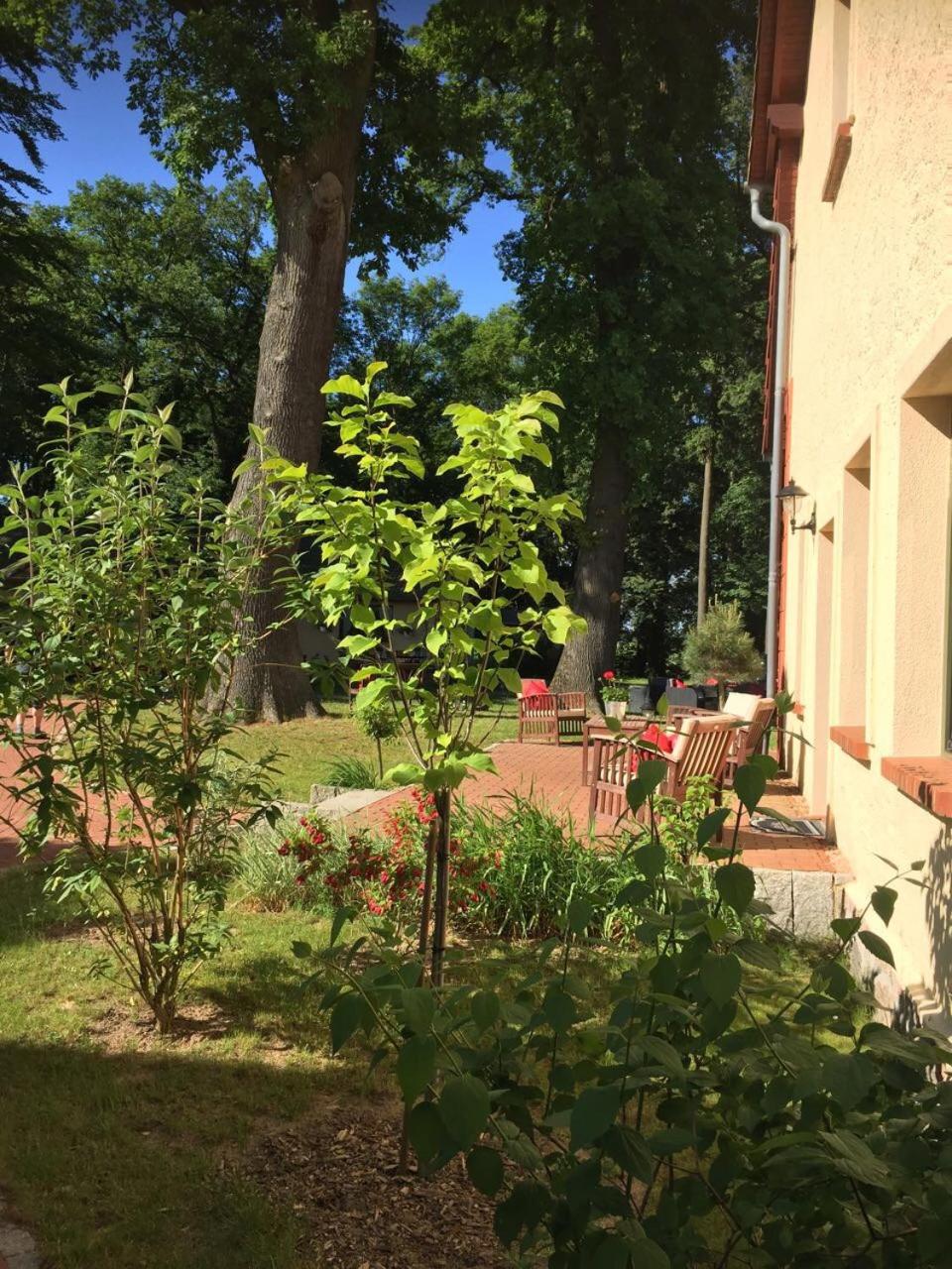 Matys Landhausperle an der Müritz