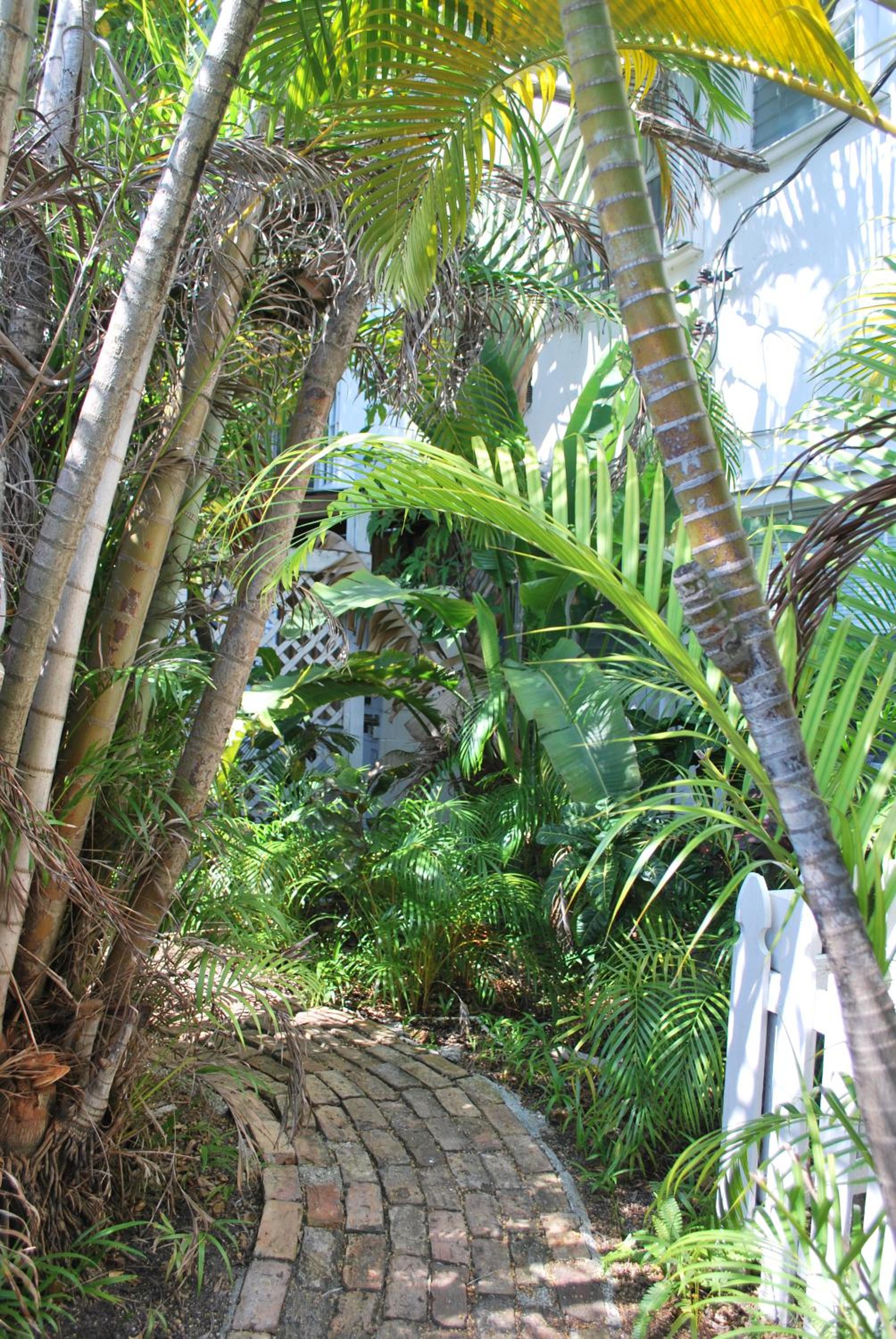 Photo 25