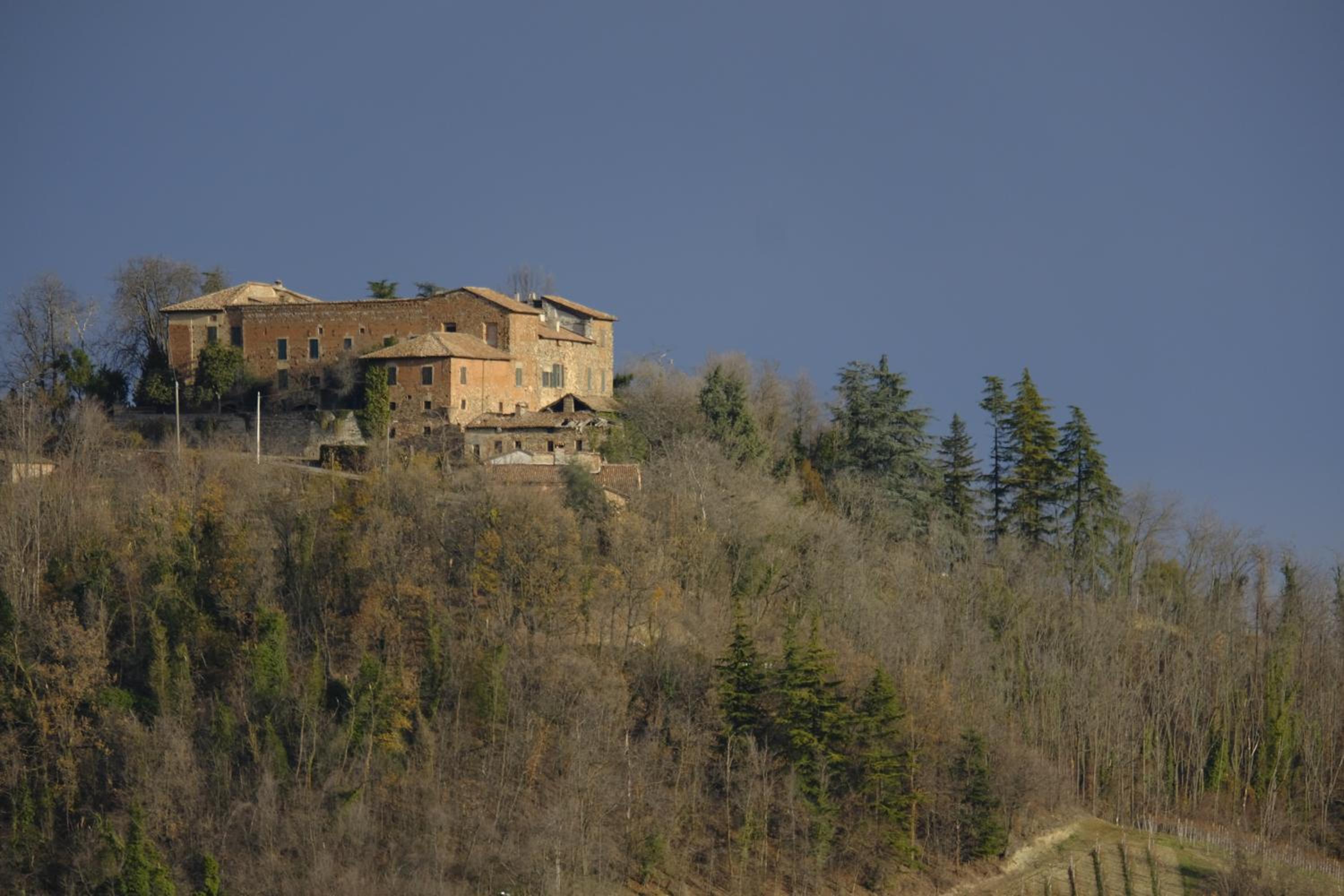 Photo 8