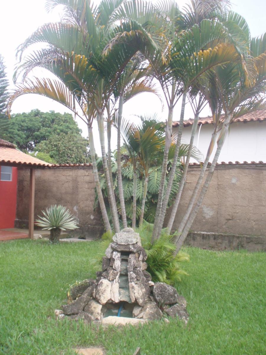 Photo 40