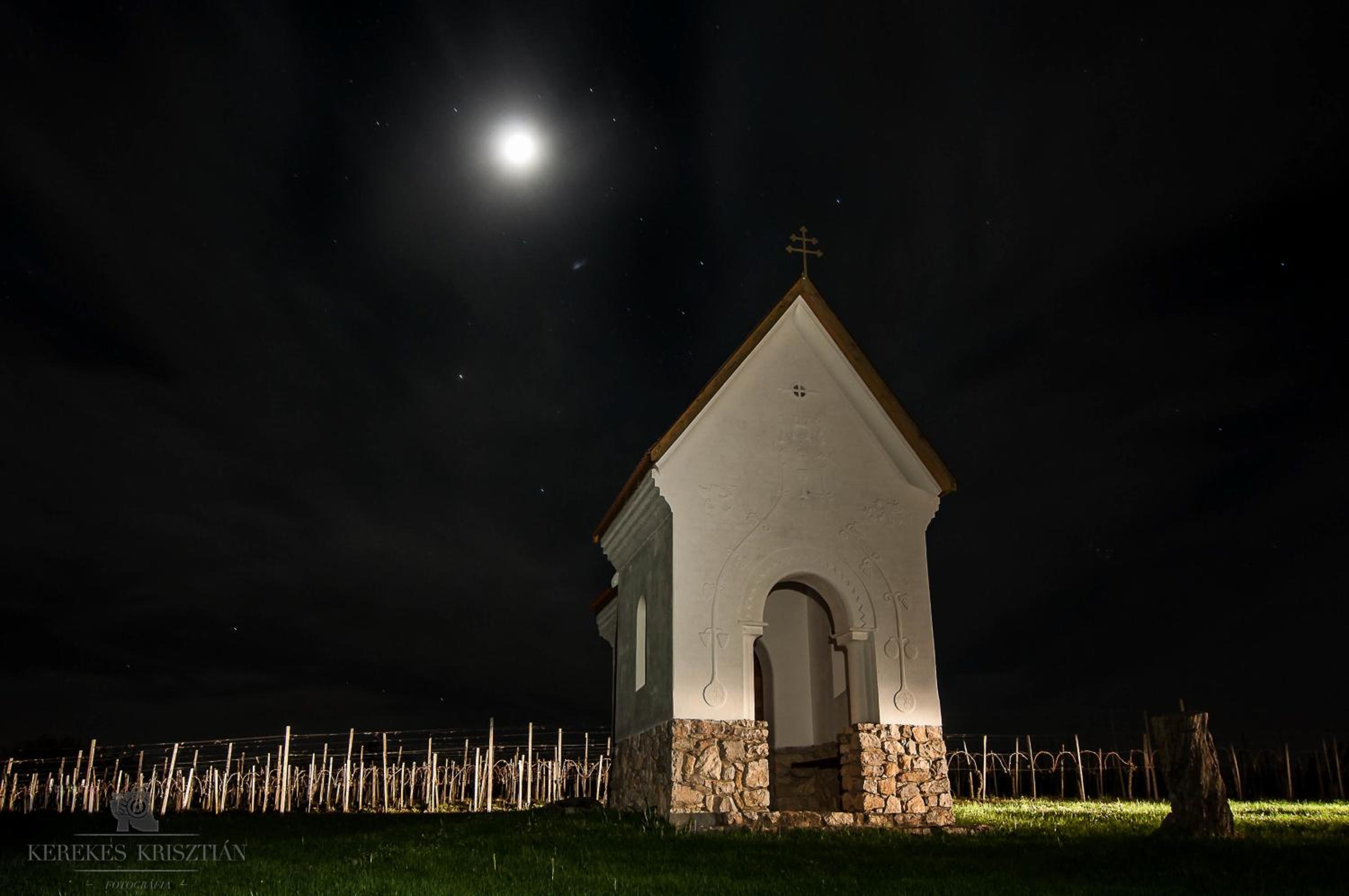Reitz Vendégház view 5