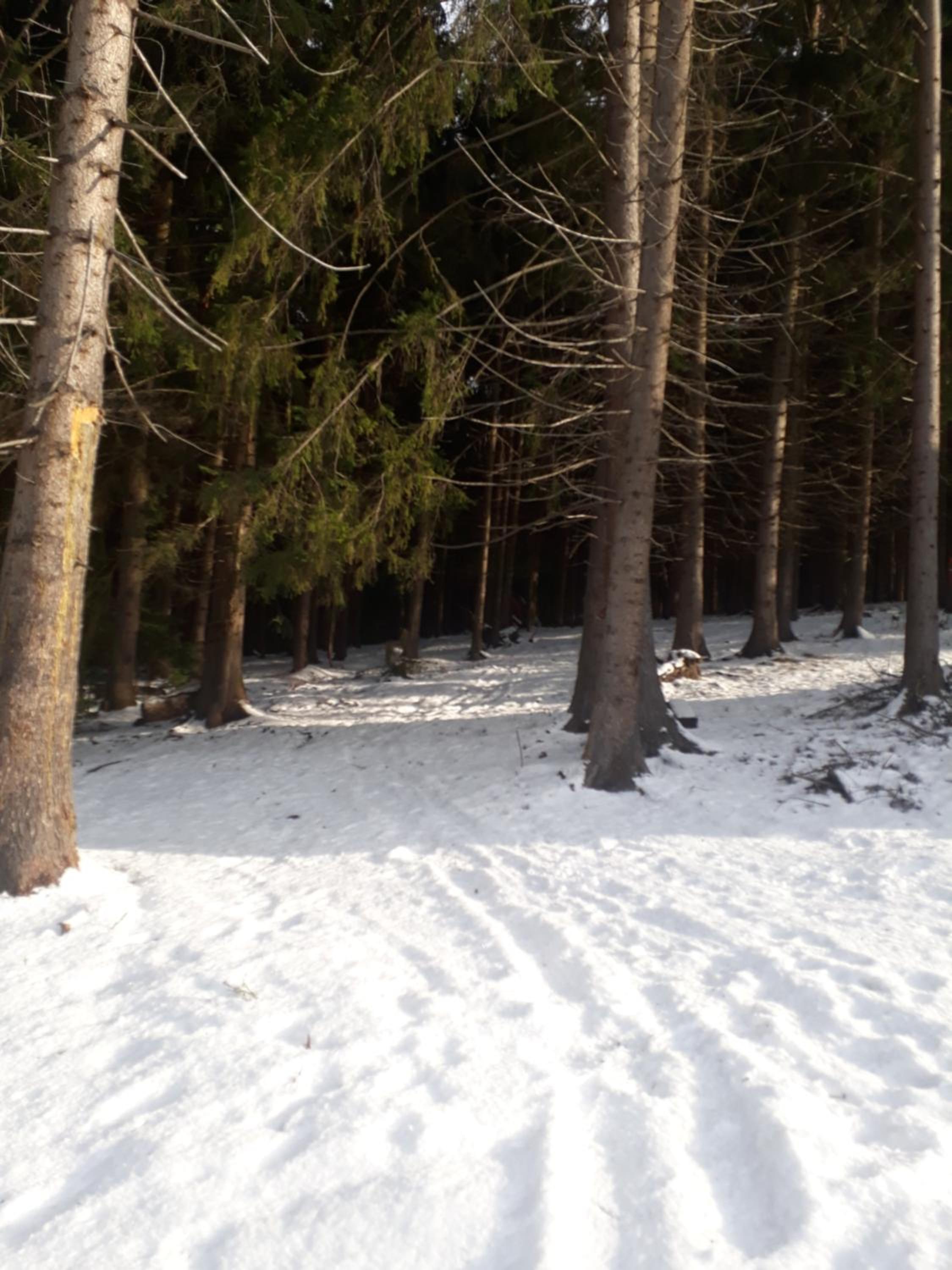 Photo 42