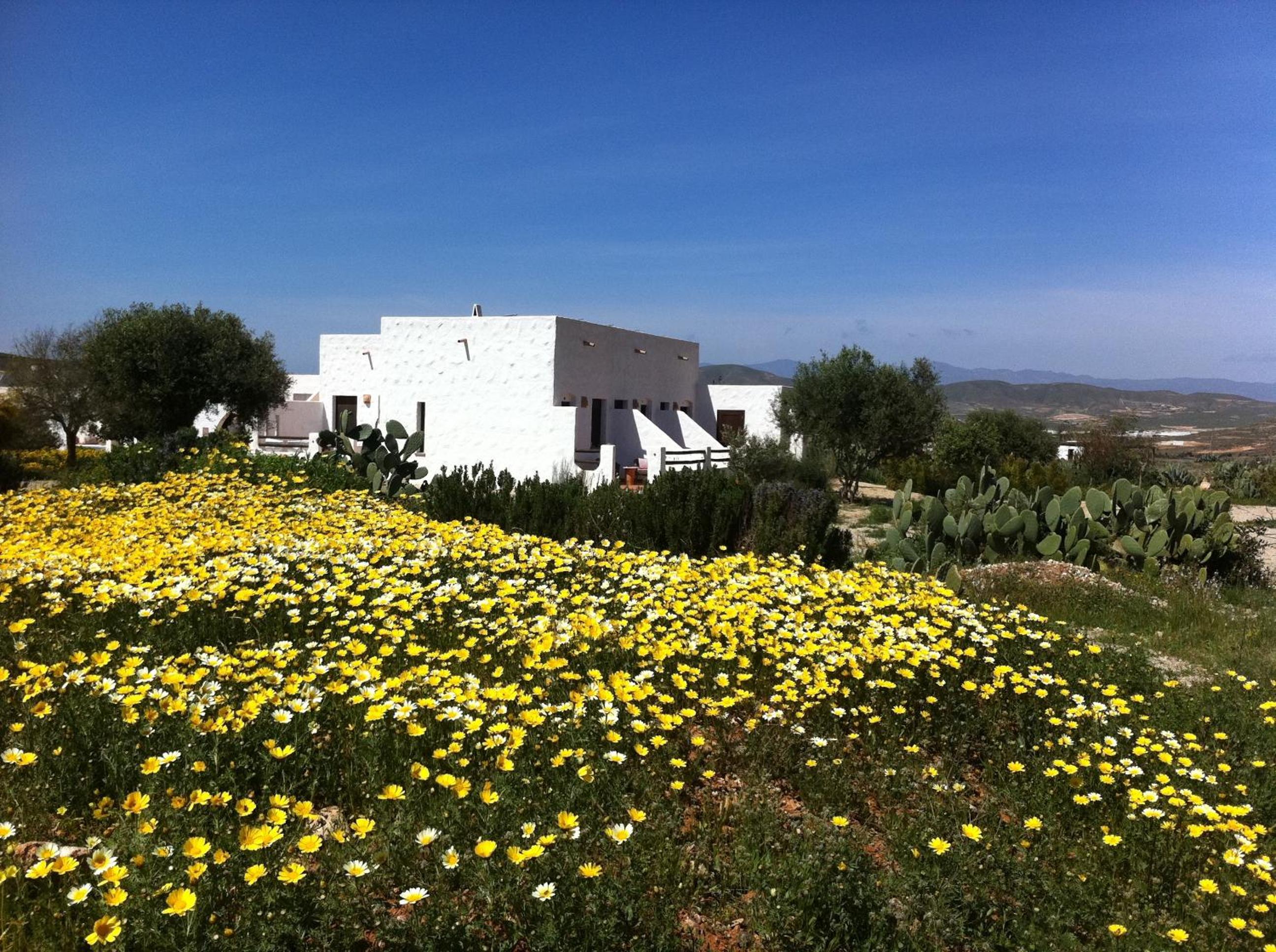 Cortijo el Campillo
