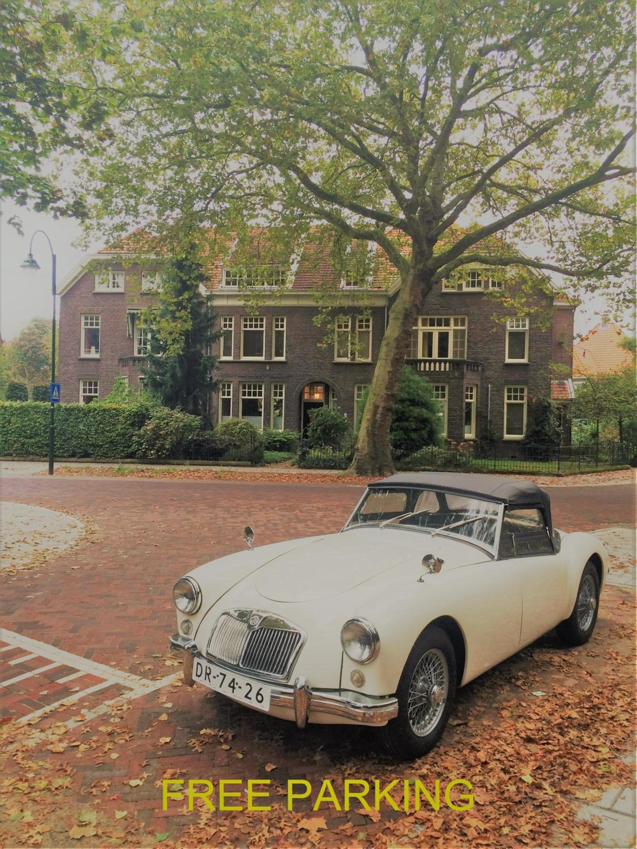 Hotel Boutiquehotel Sycamore - Protected City View - Free Parking - Image 1