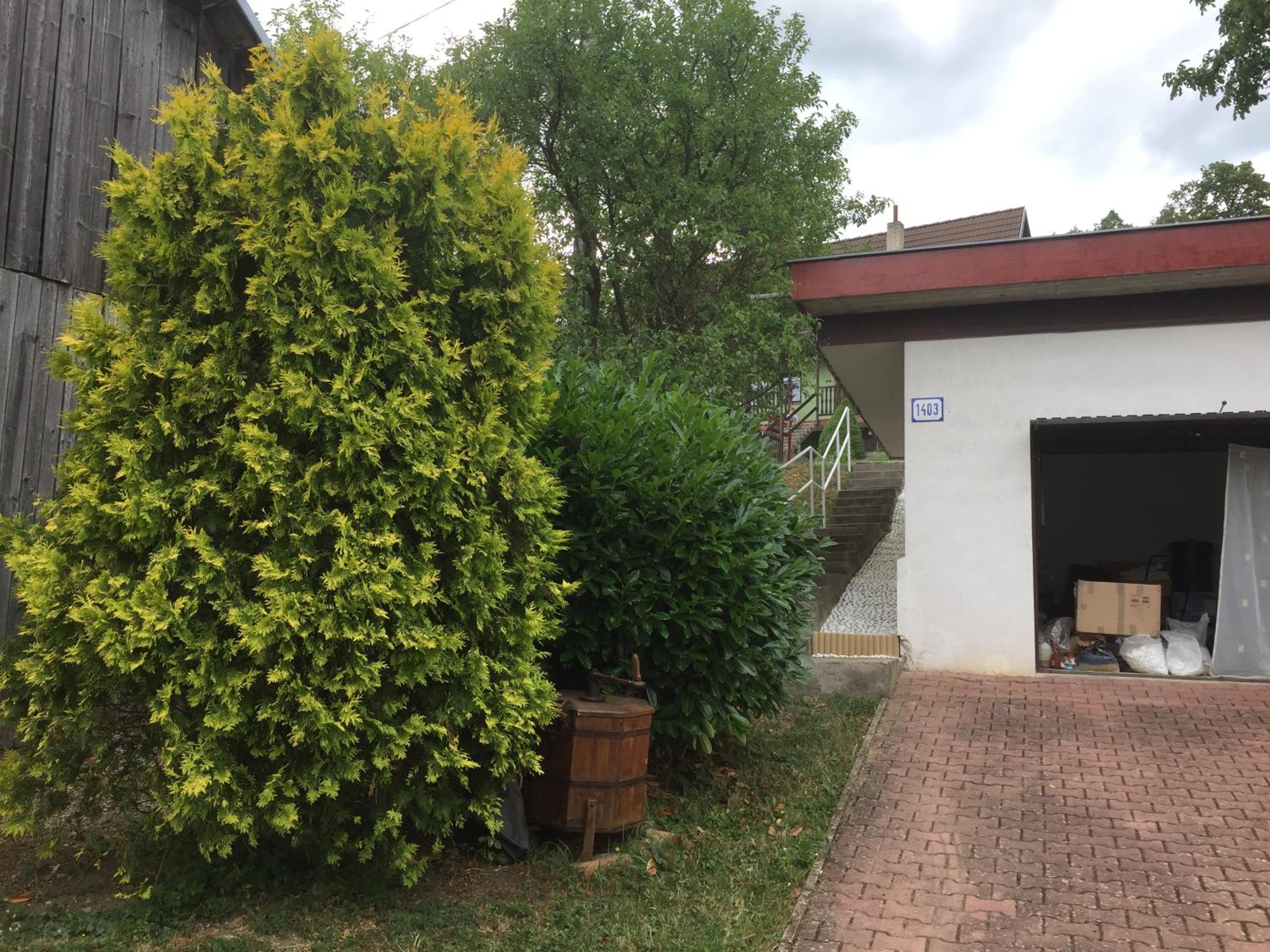 Photo 23