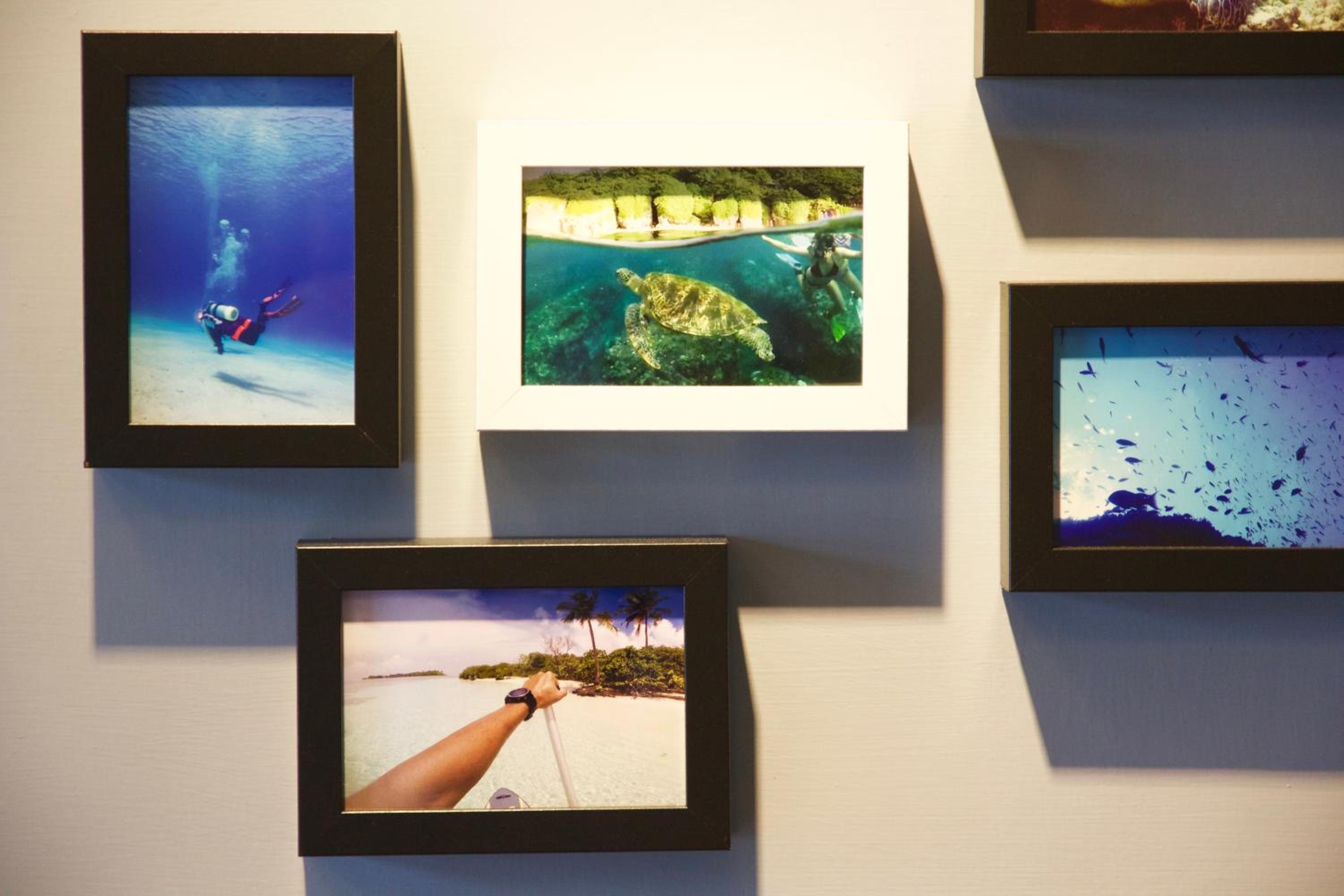 Stay Liuqiu Diving Hostel