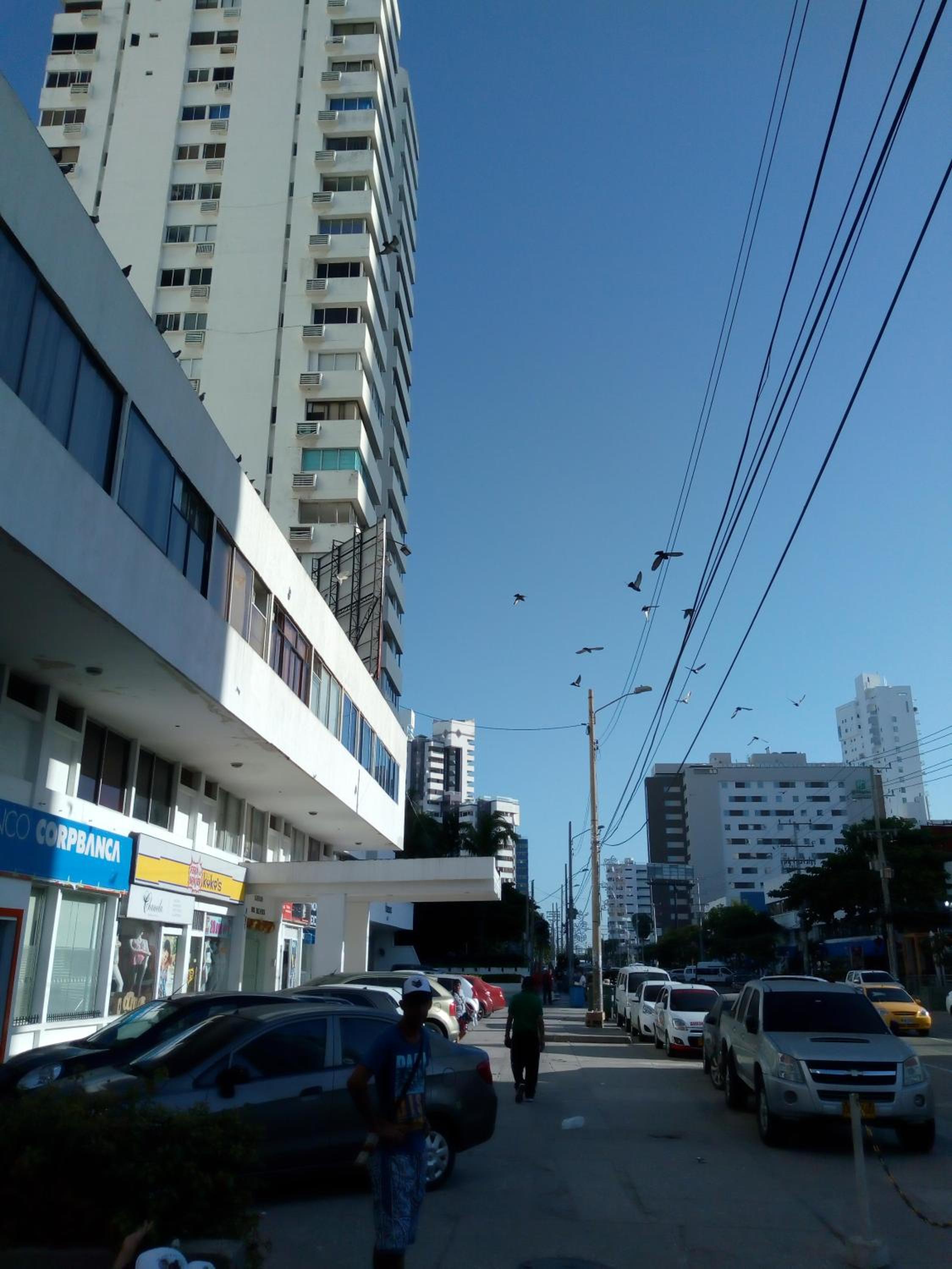 Photo 7