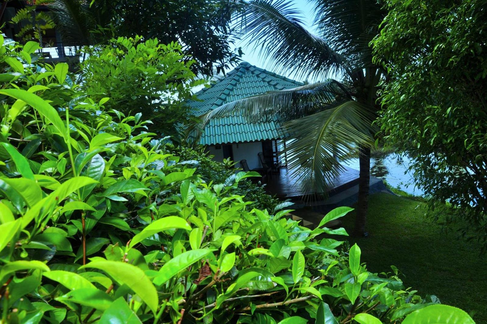 Jungle Heart Cabanas
