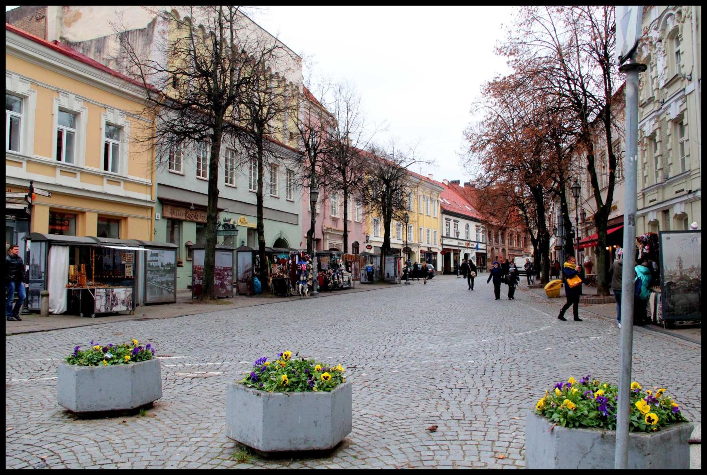 Photo 43