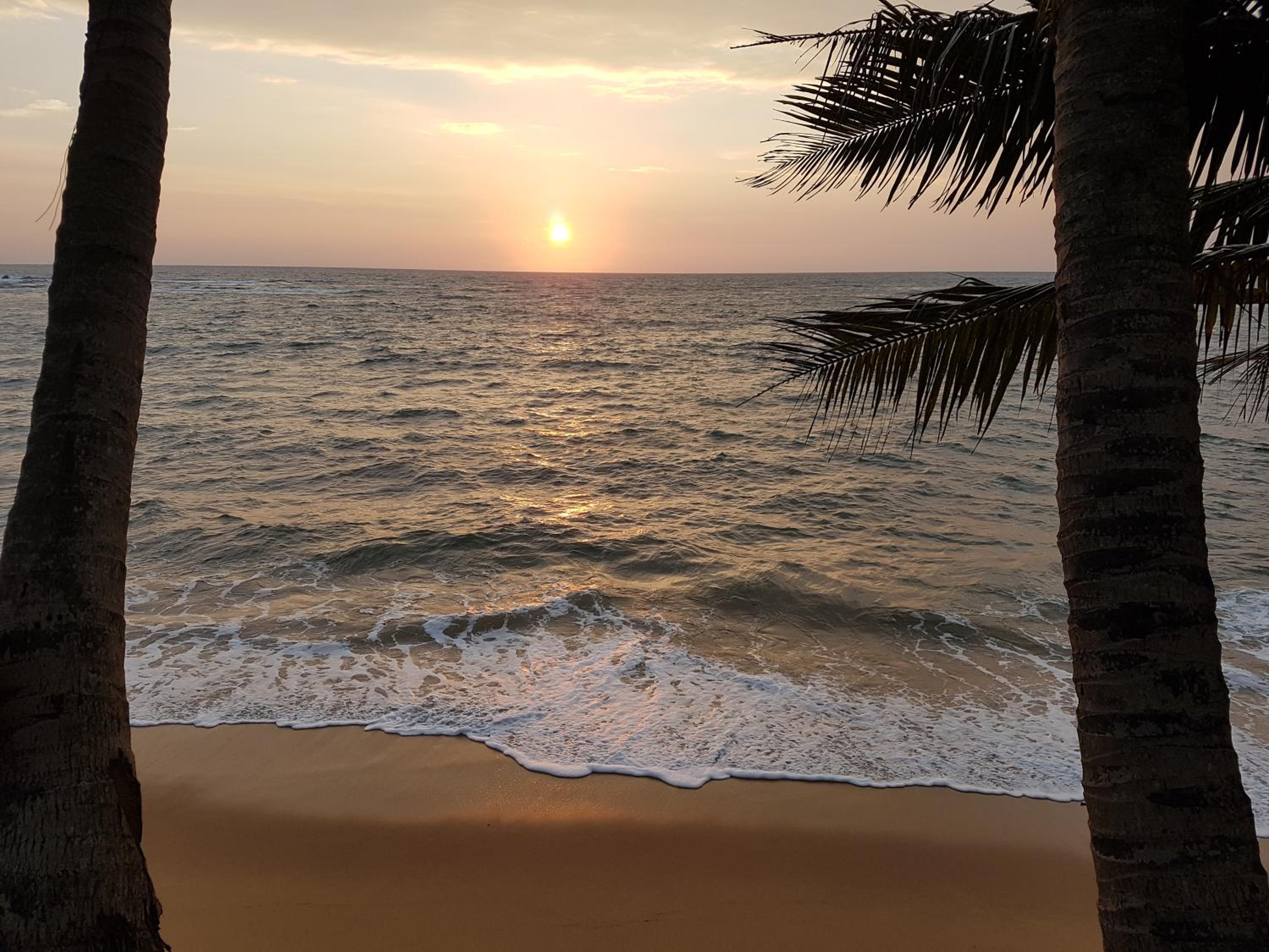 Guesthouse Panorama