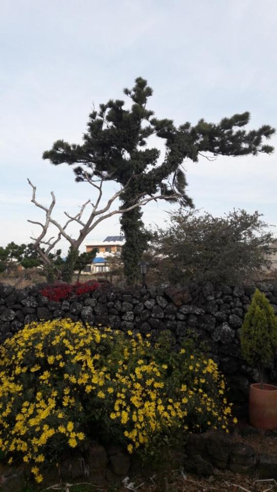 Bookmark Guesthouse