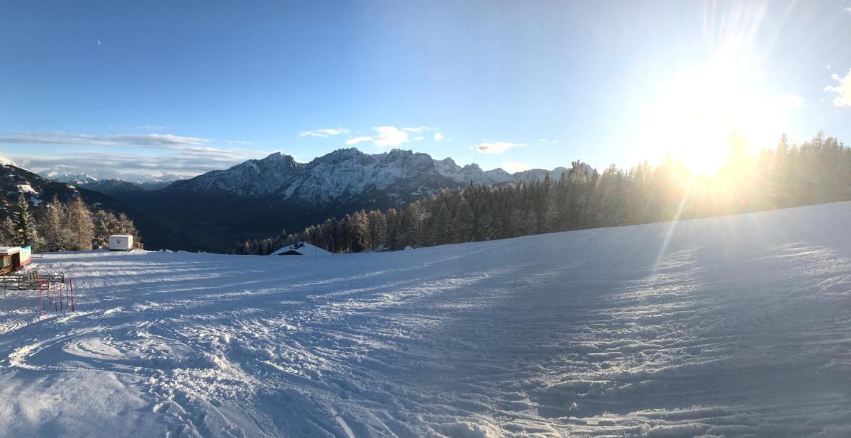 Bel'vue