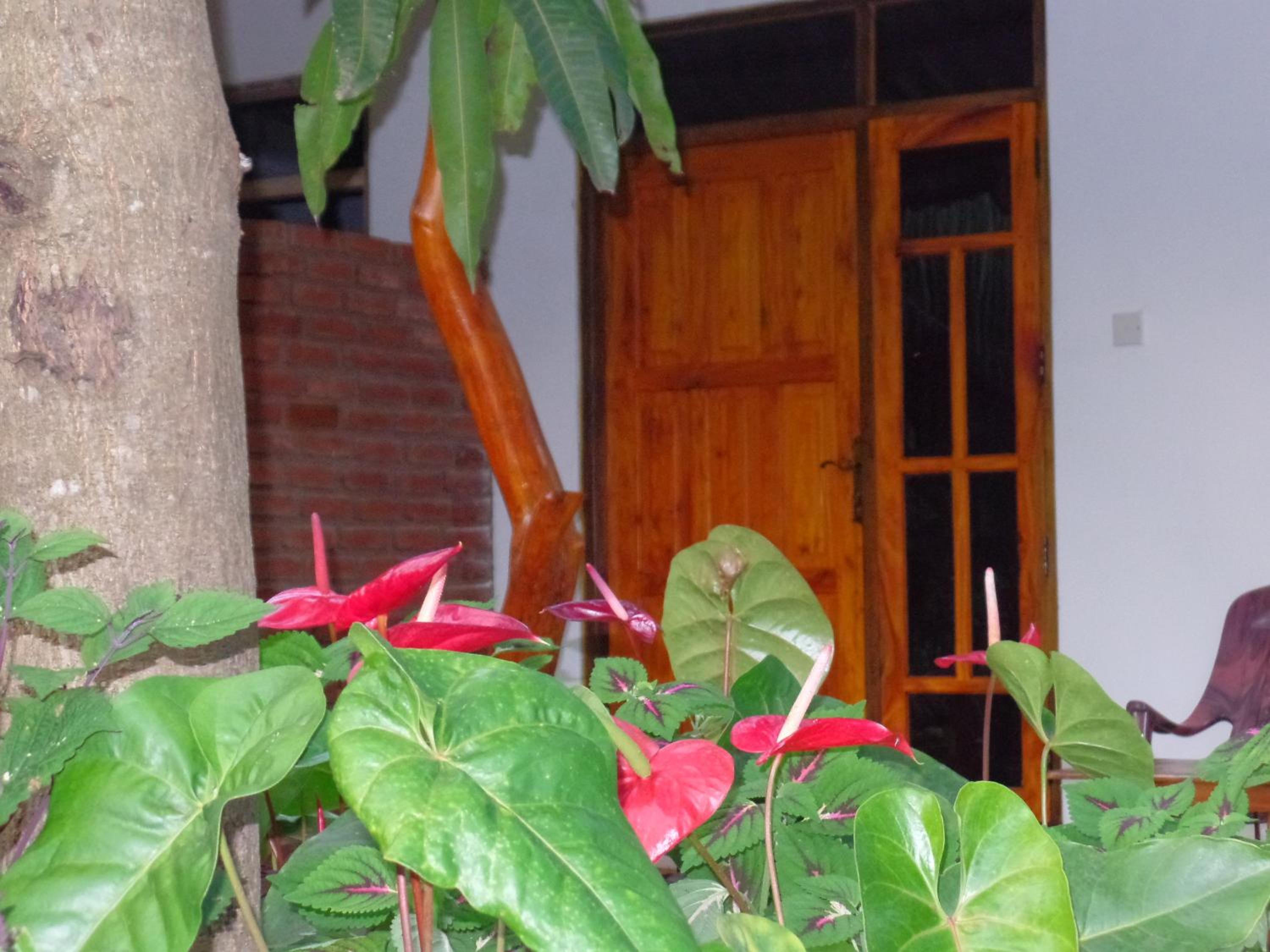 Photo 31