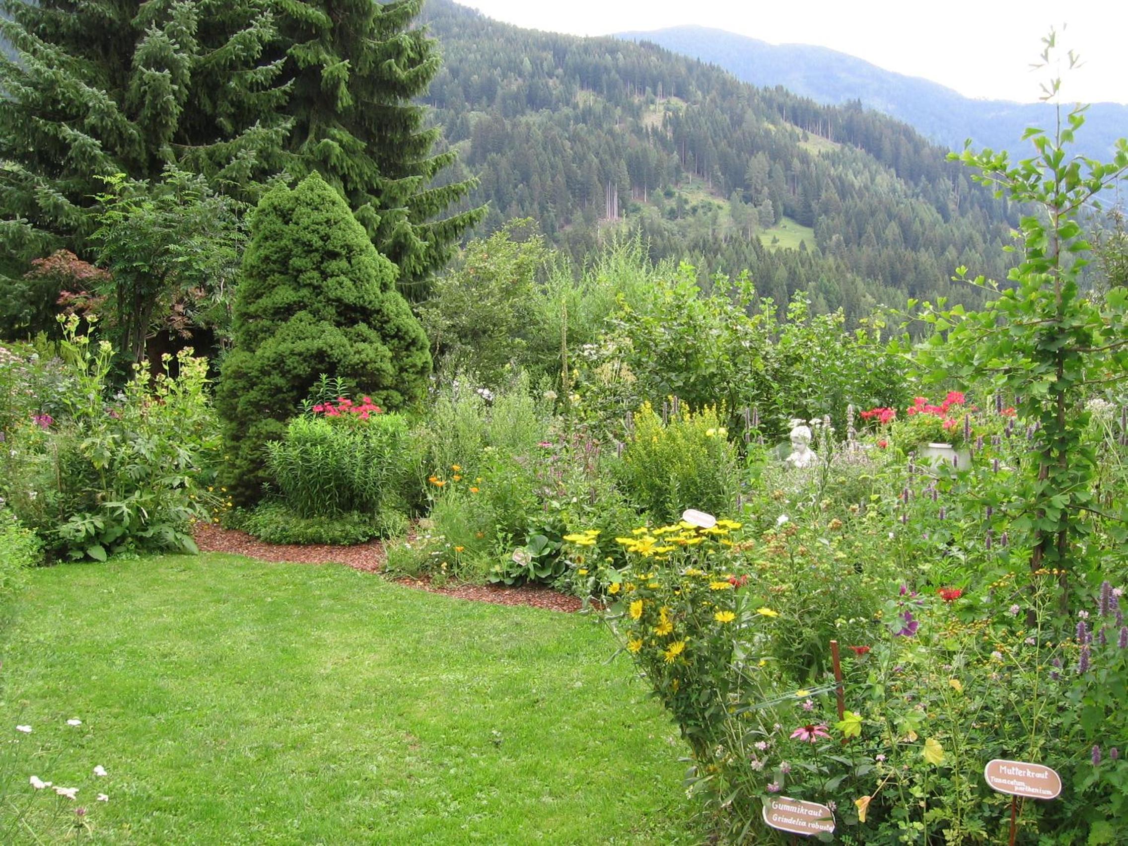 Photo 24