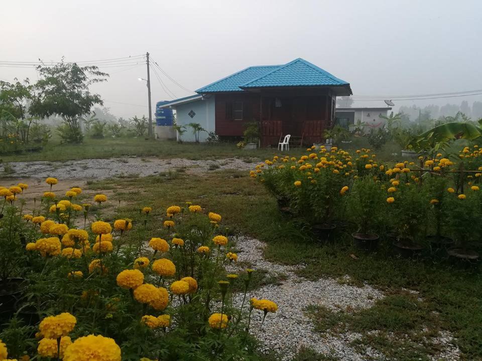 BN Resort