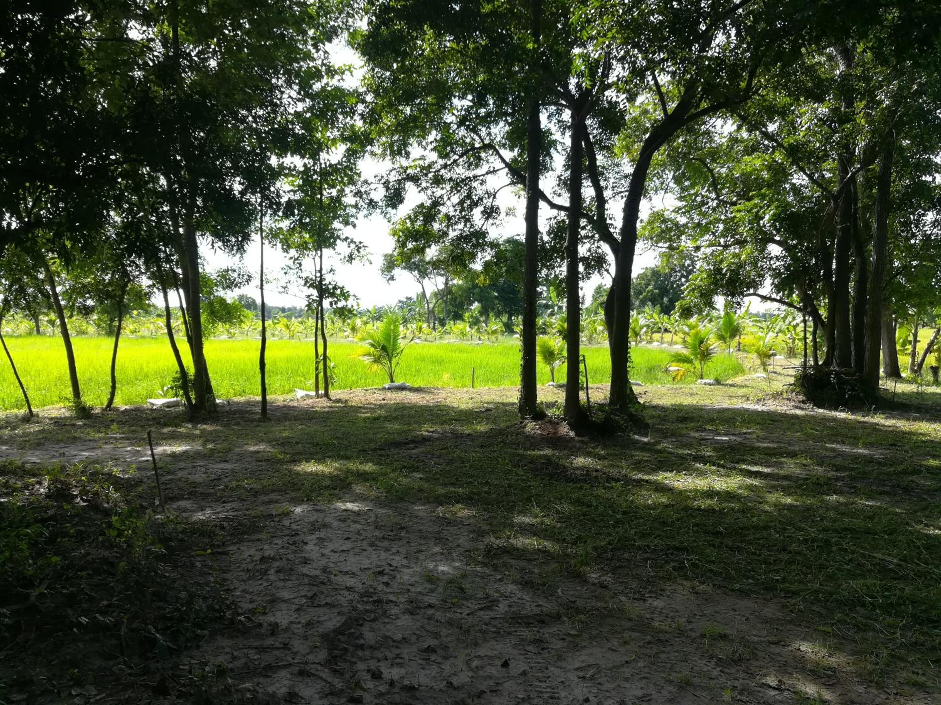 BN Resort