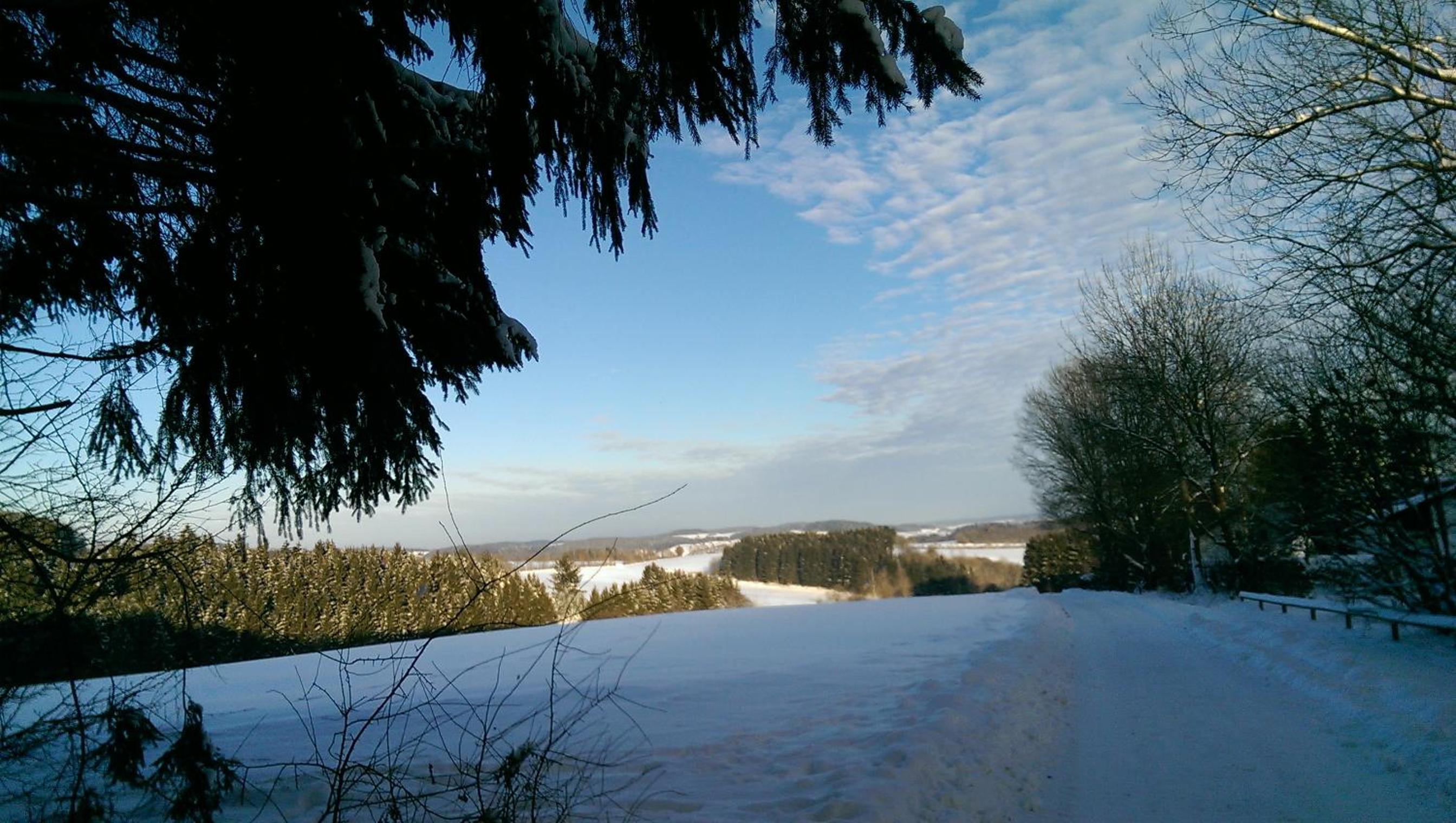 Haus am Wald