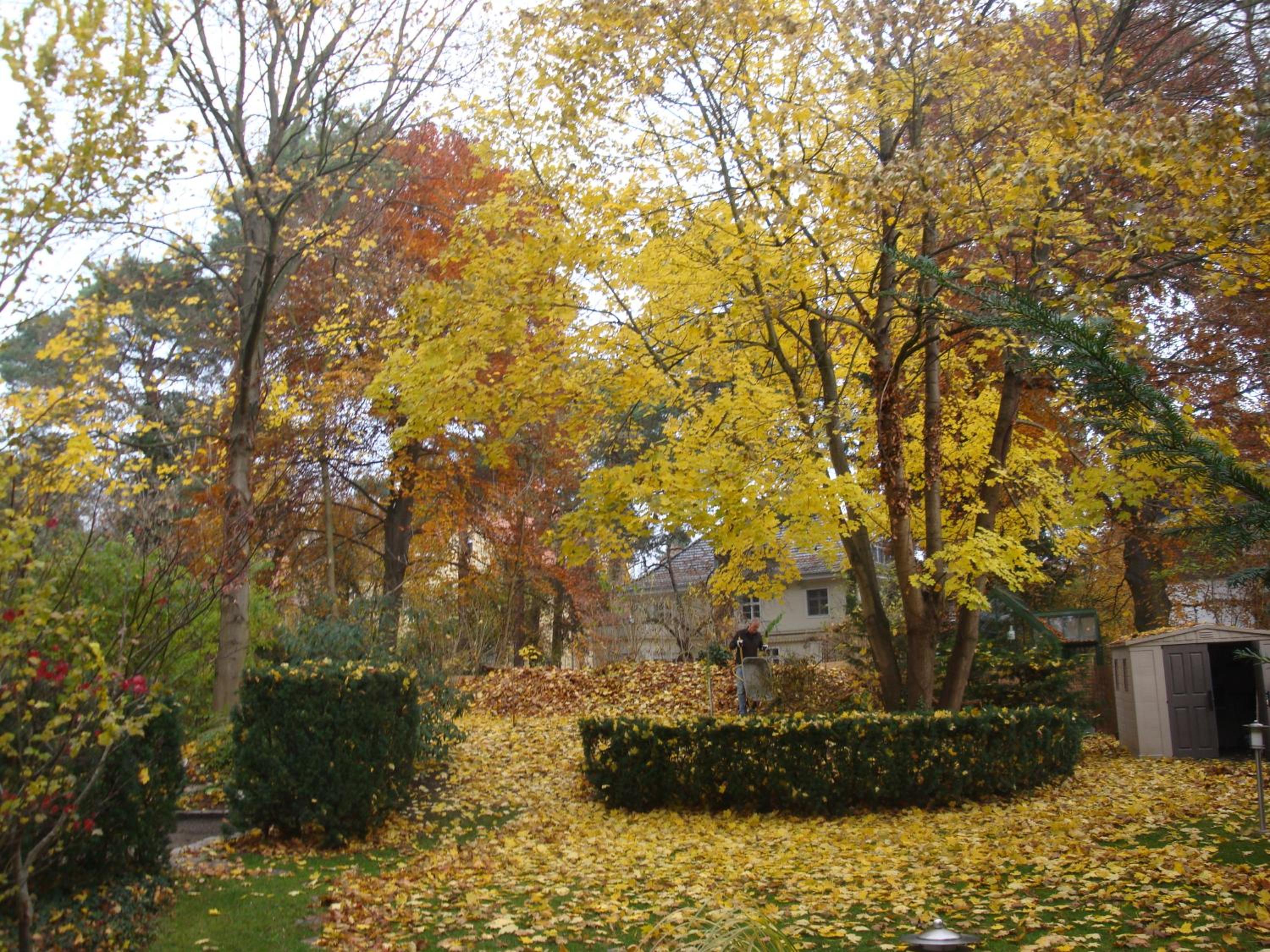 Hotel Landhaus Schlachtensee