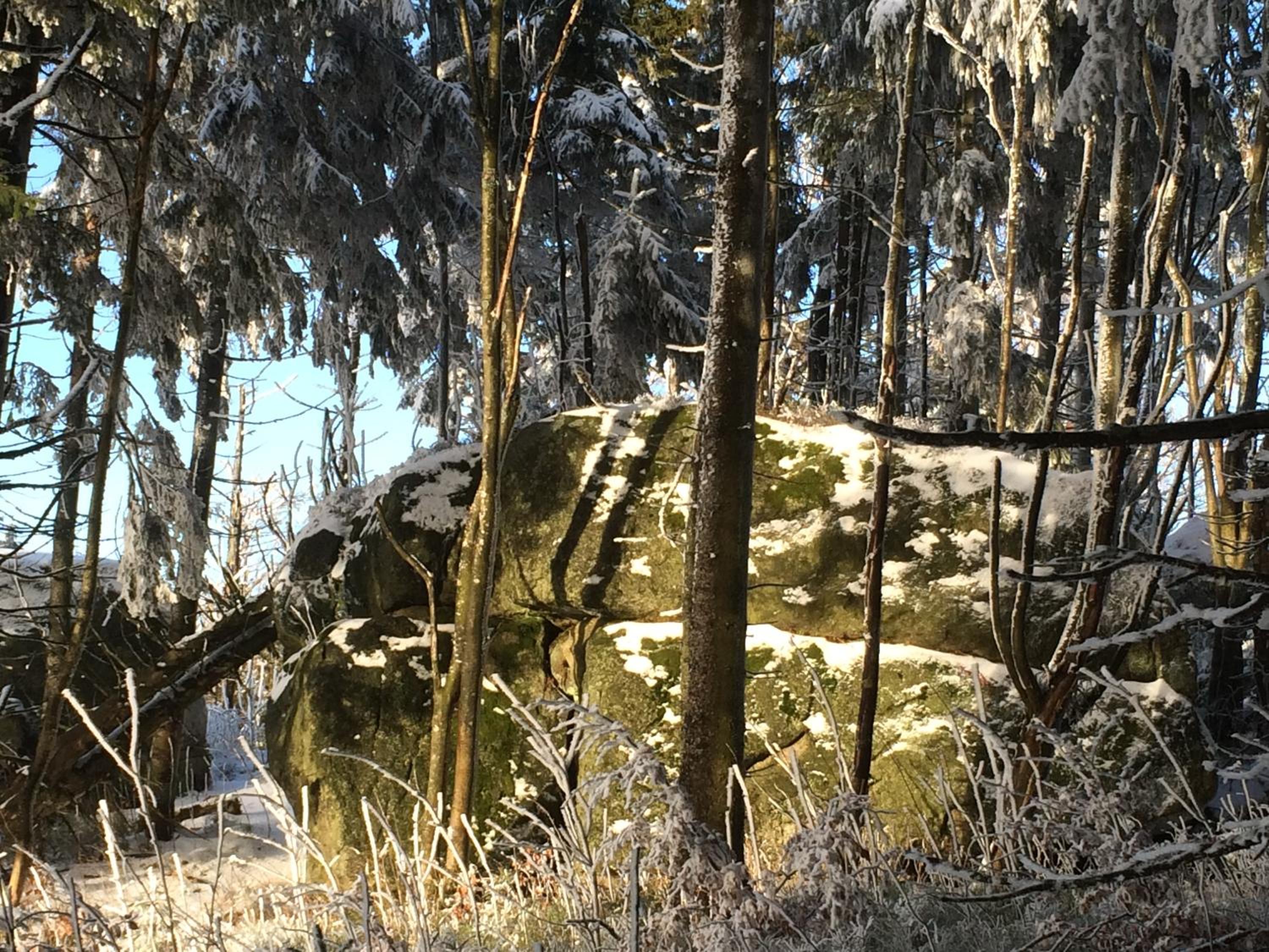 Gasthof Waldschenke