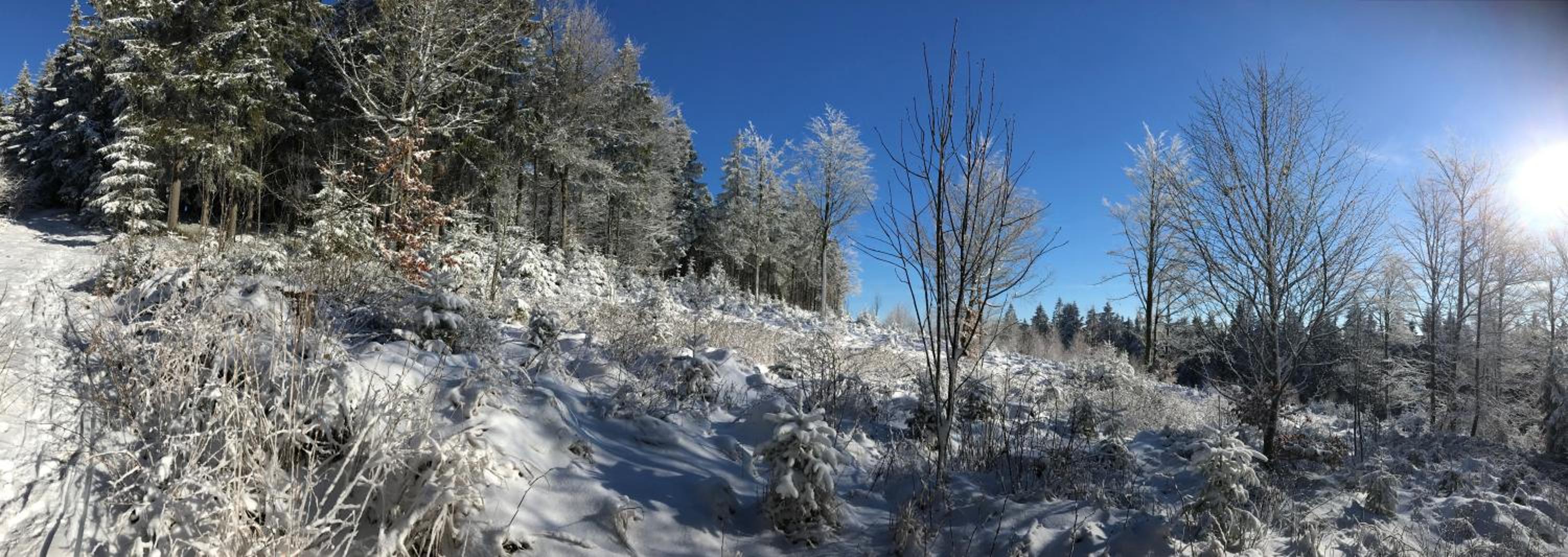 Gasthof Waldschenke