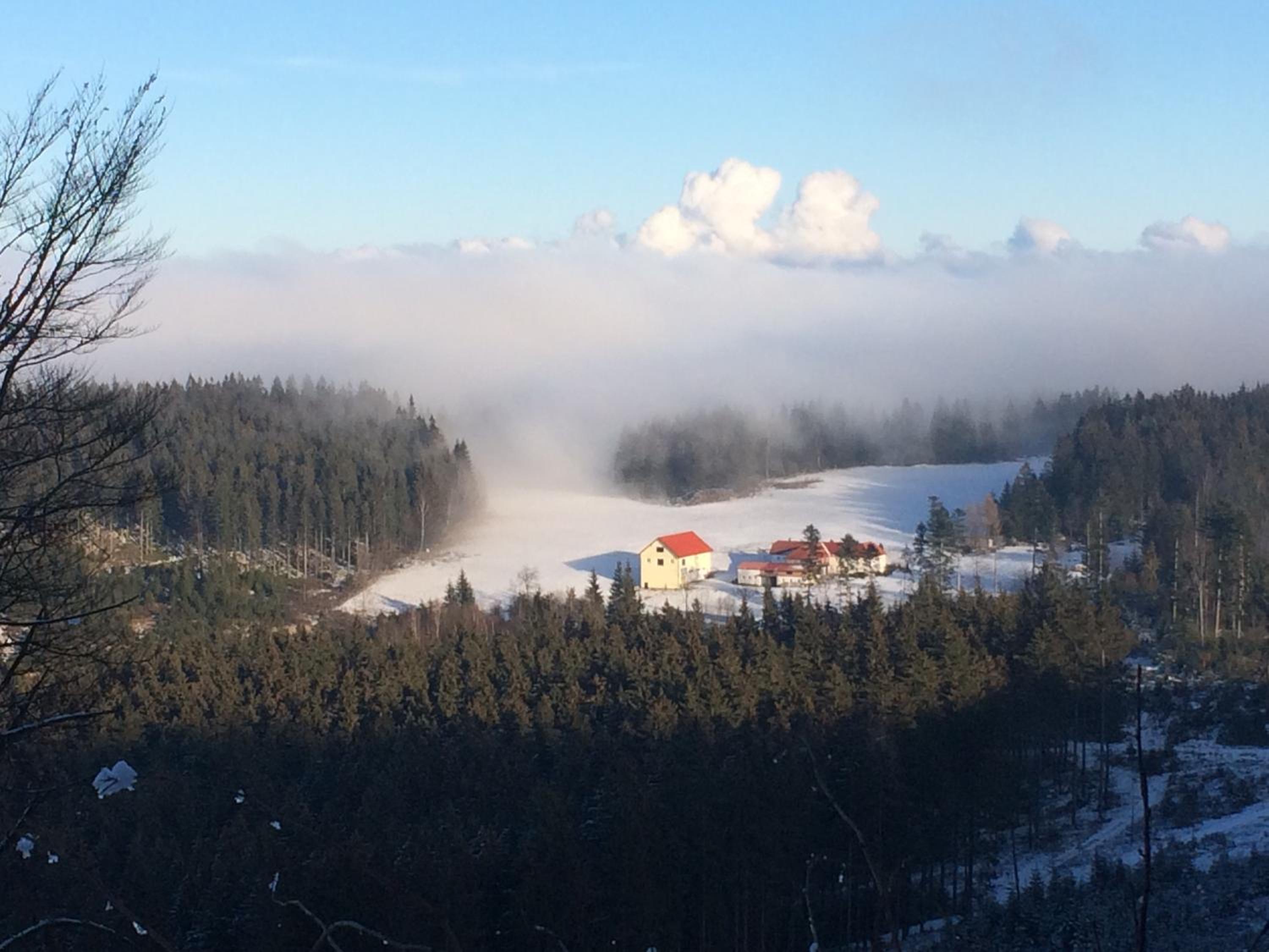Gasthof Waldschenke