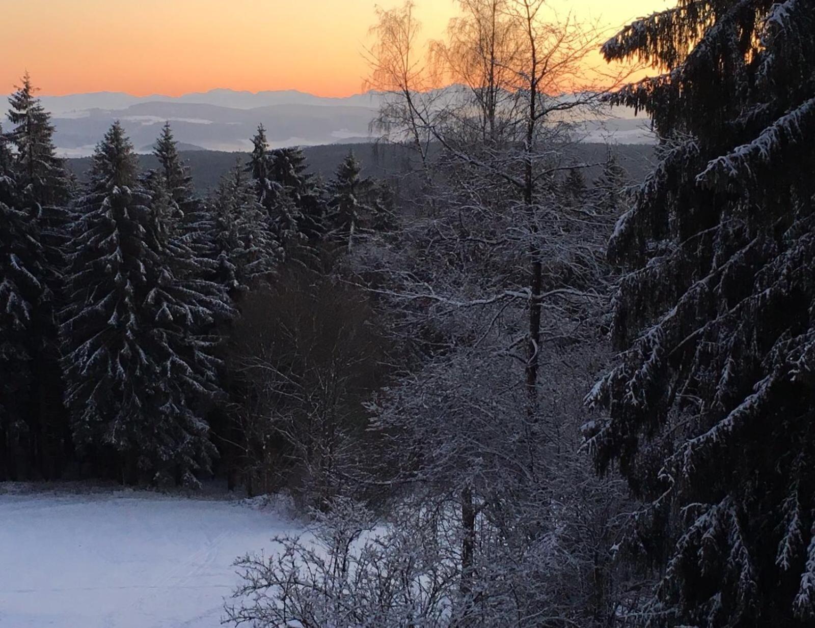 Gasthof Waldschenke