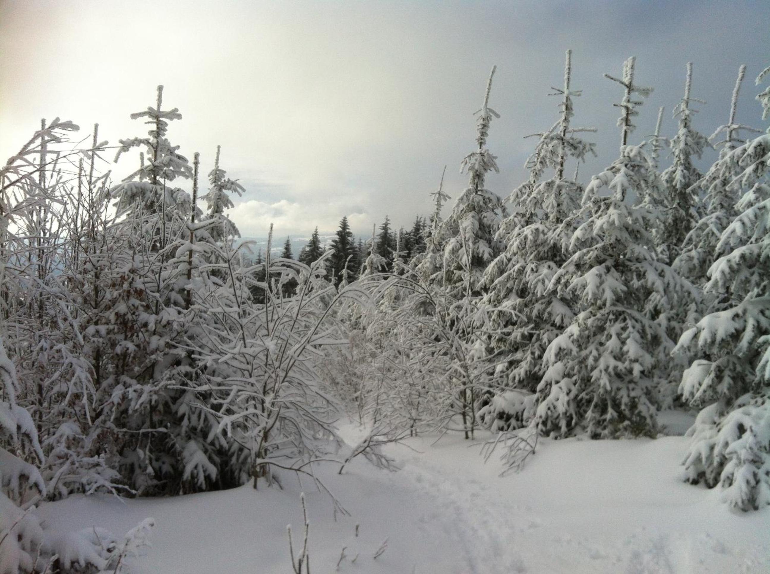 Gasthof Waldschenke