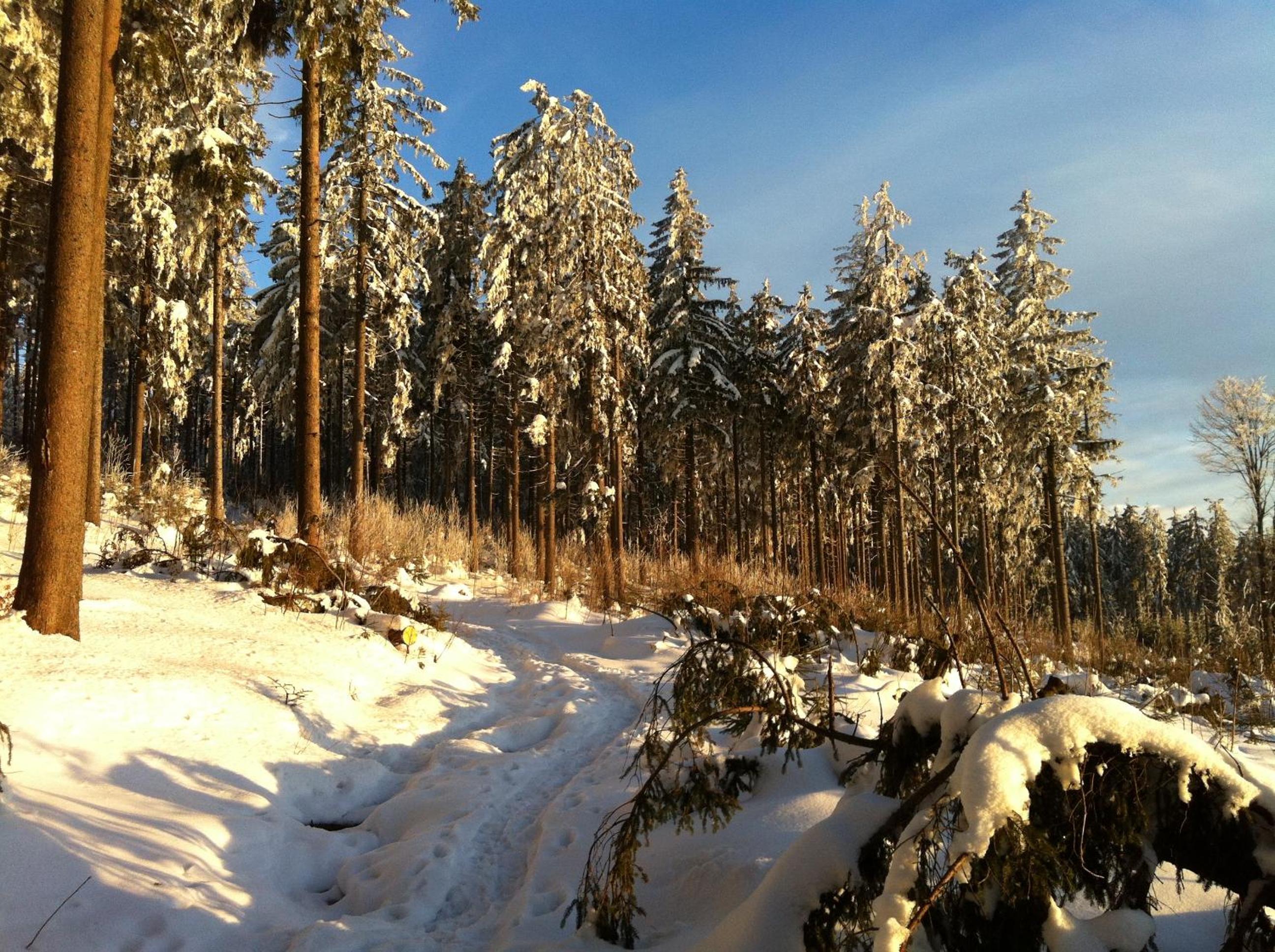 Gasthof Waldschenke