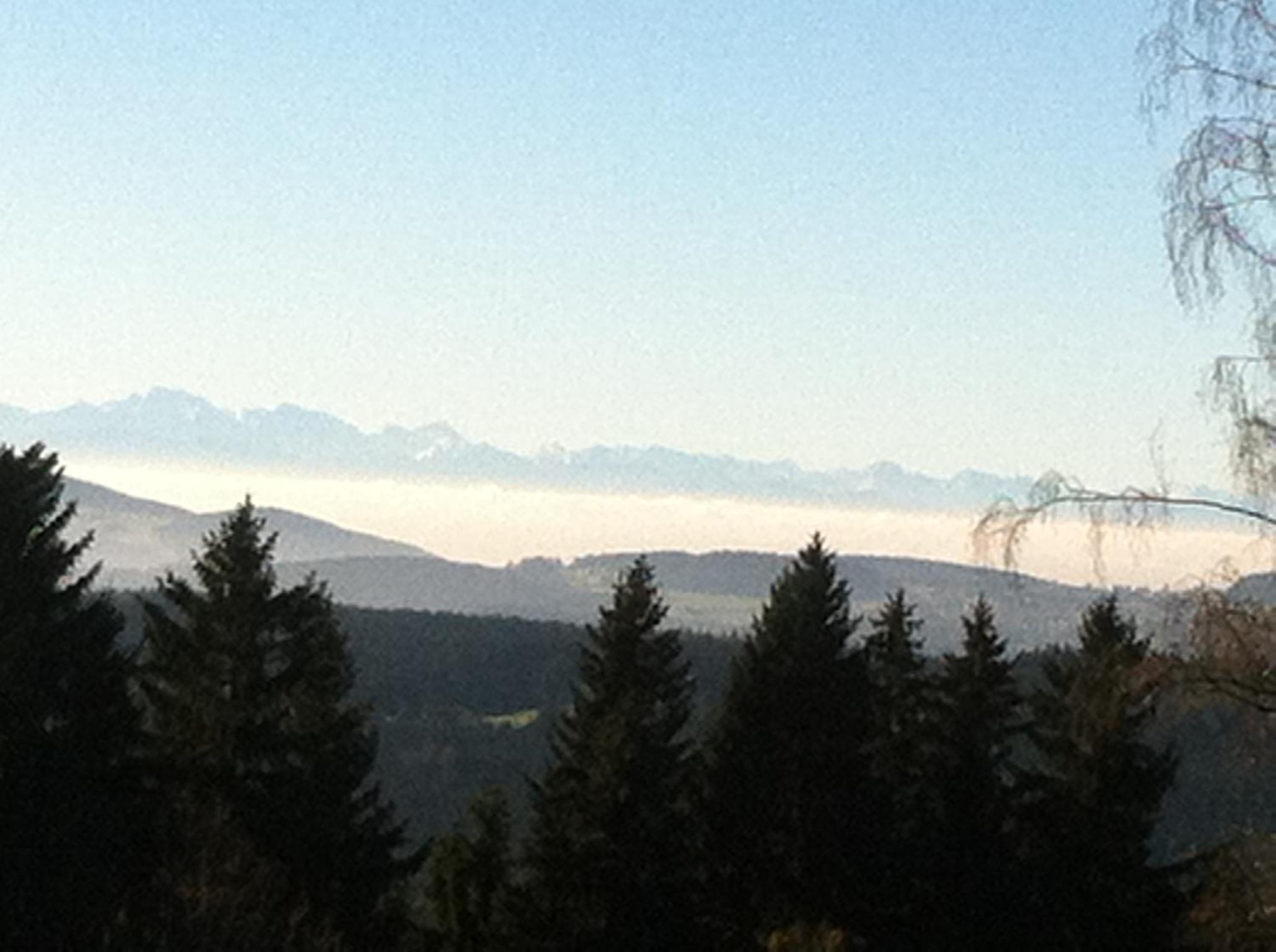Gasthof Waldschenke