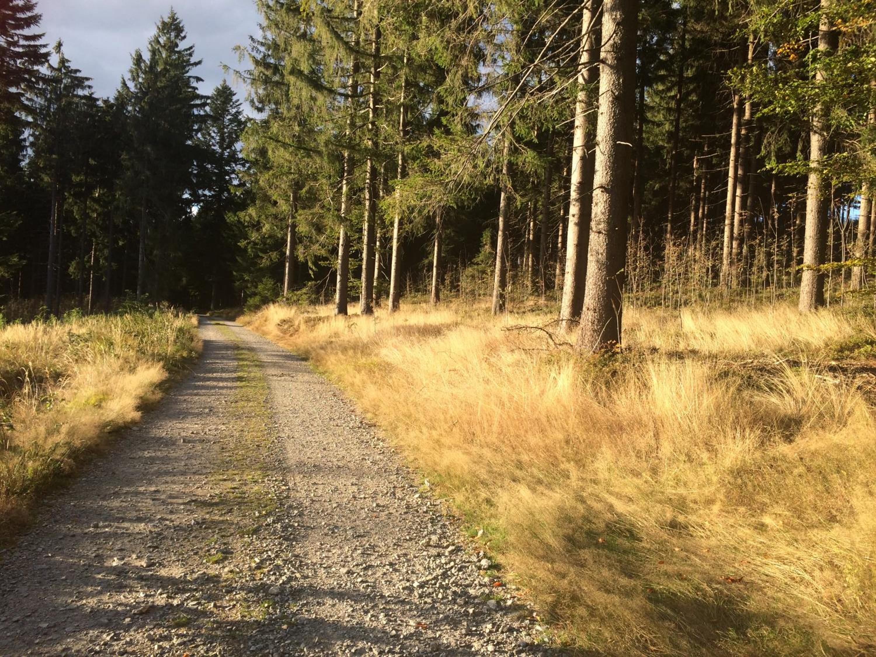 Gasthof Waldschenke