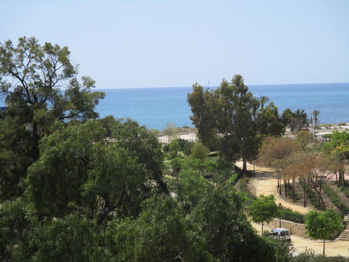 Photo 24