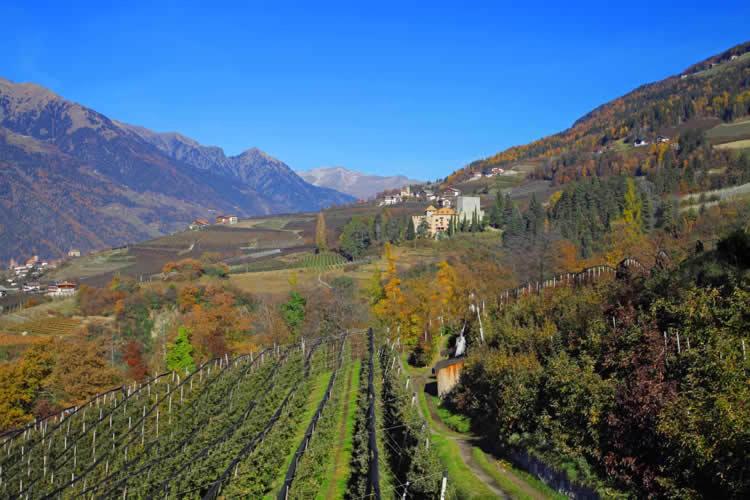 Photo 40