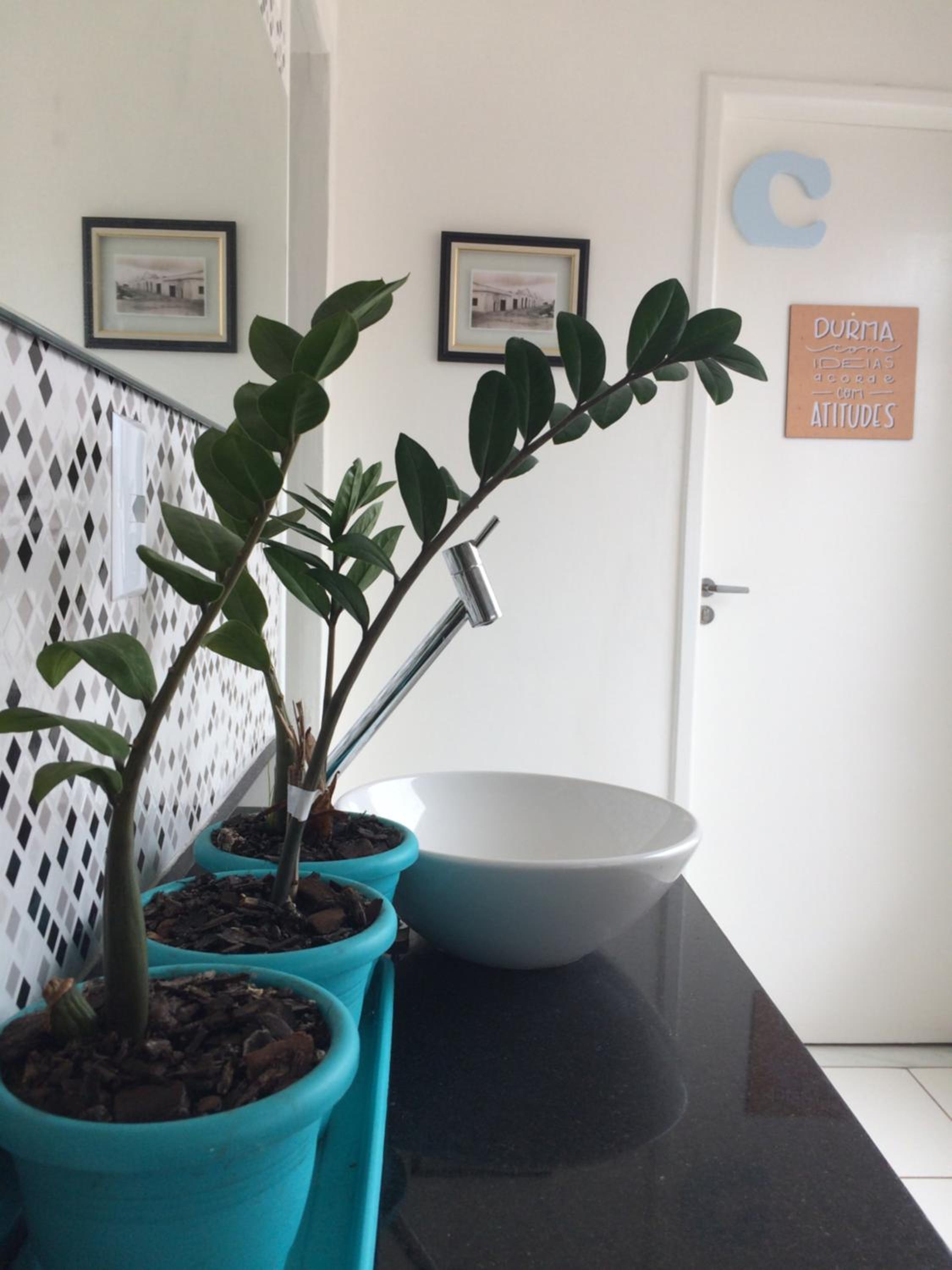 Hostel Pajuçara