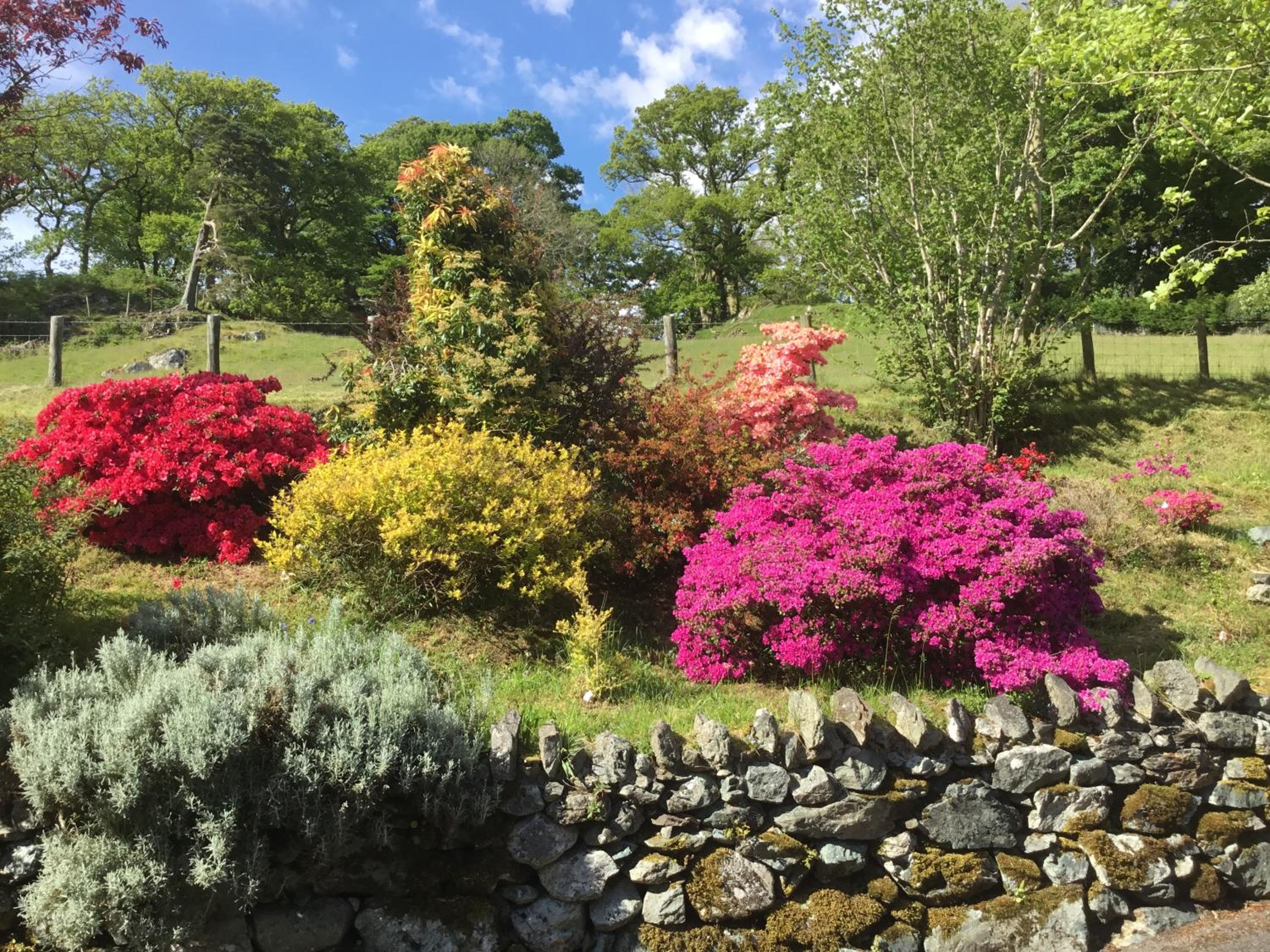 Heulwen Guest House view 5
