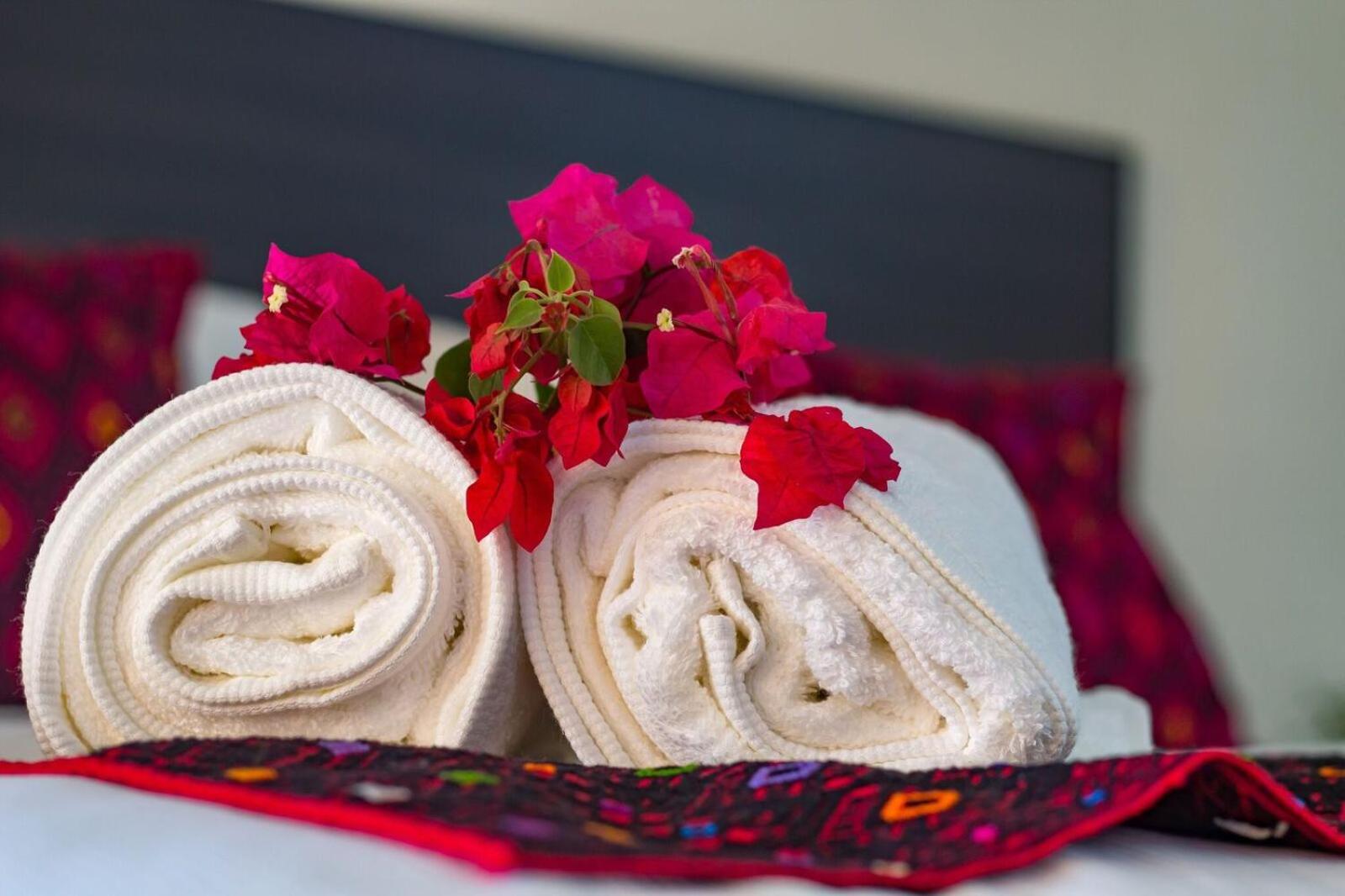 Campeche Vacations - Hotel Maculis - Property Image 8