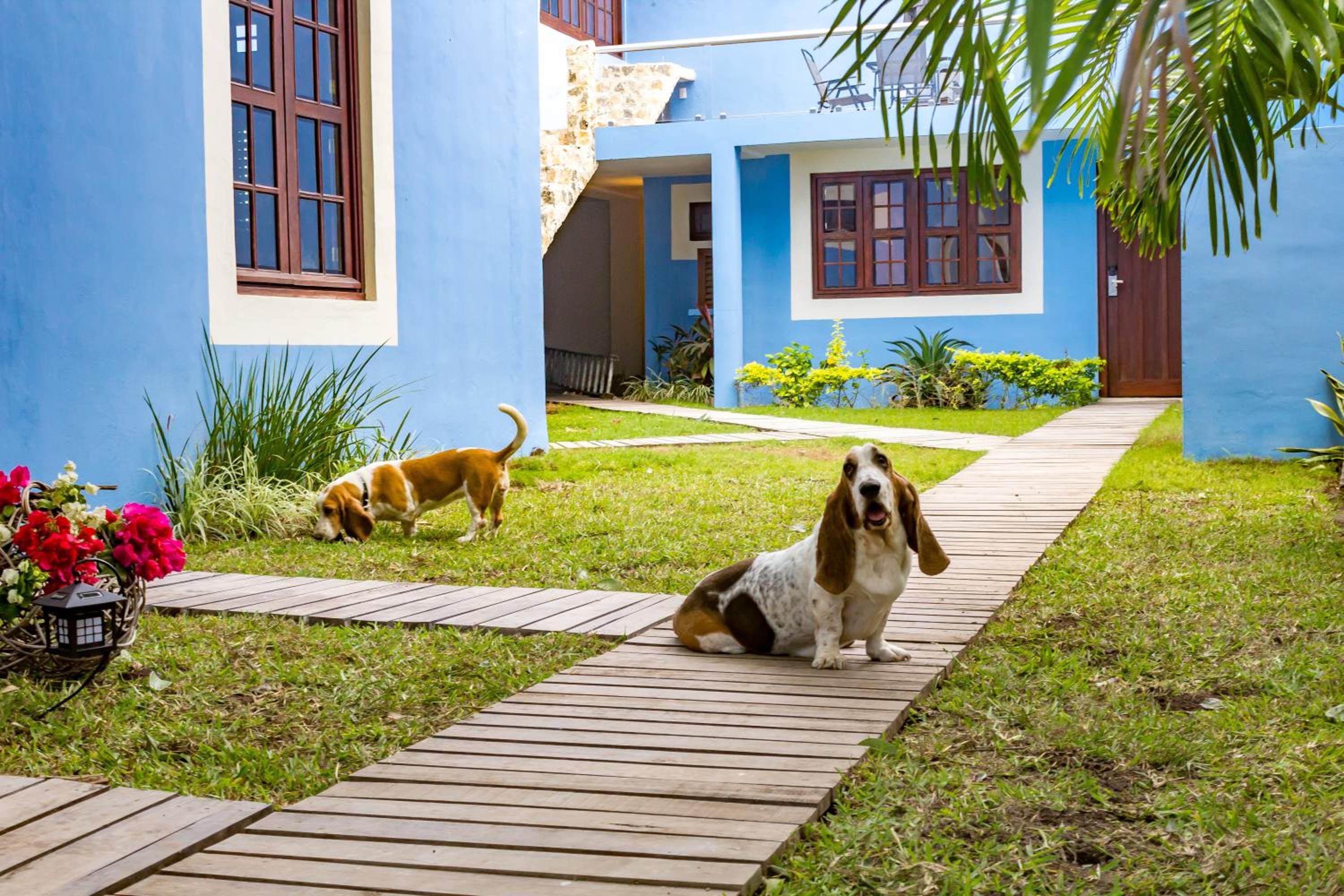 Campeche Vacations - Hotel Maculis - Property Image 28
