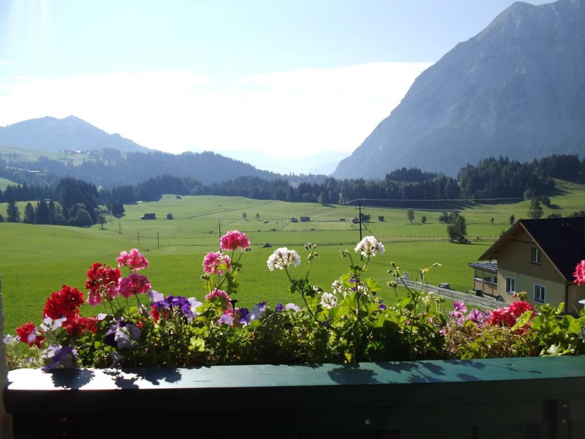 Weideblick