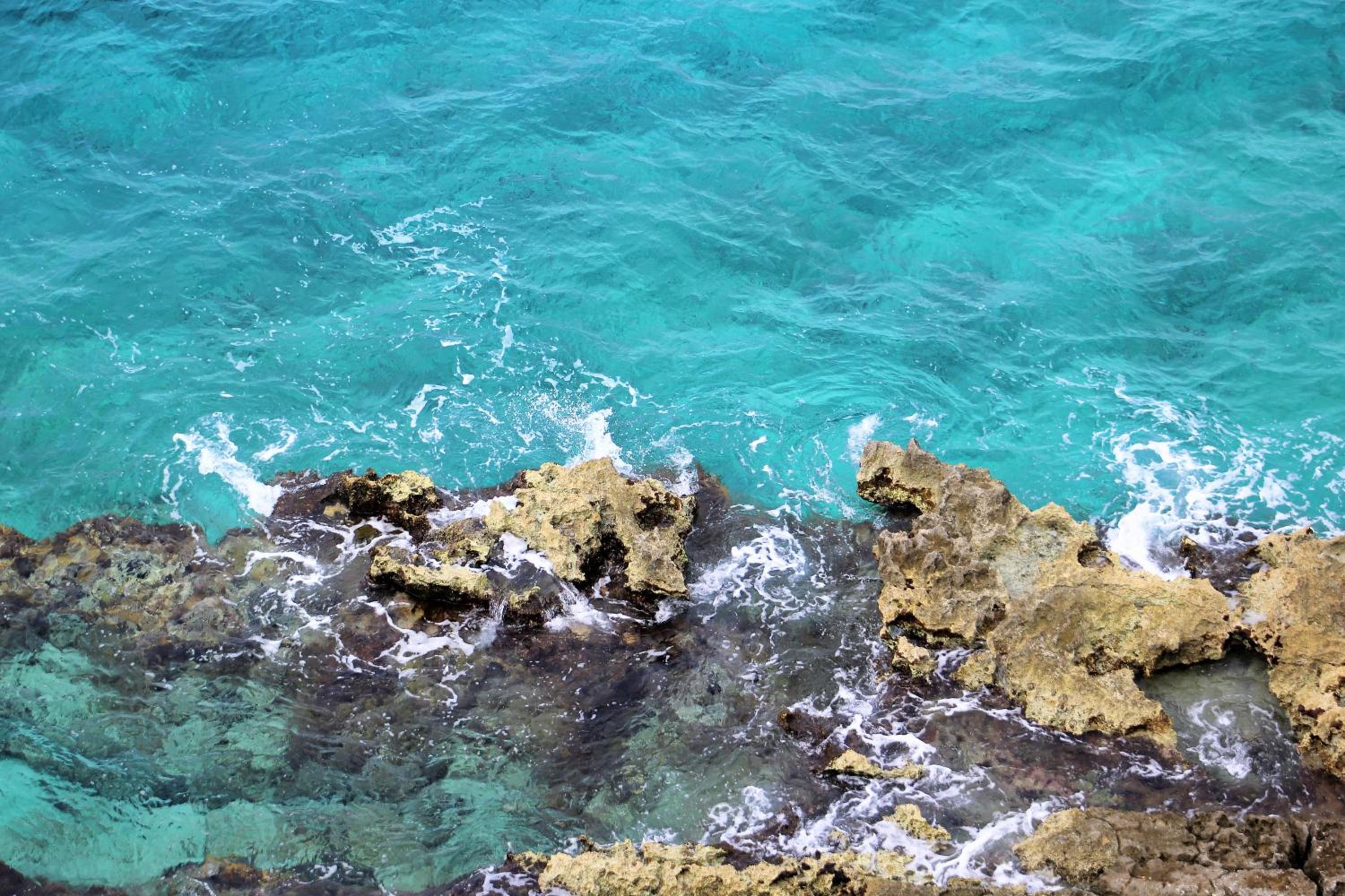 Coral Princess Hotel  Dive Resort - Property Image 29