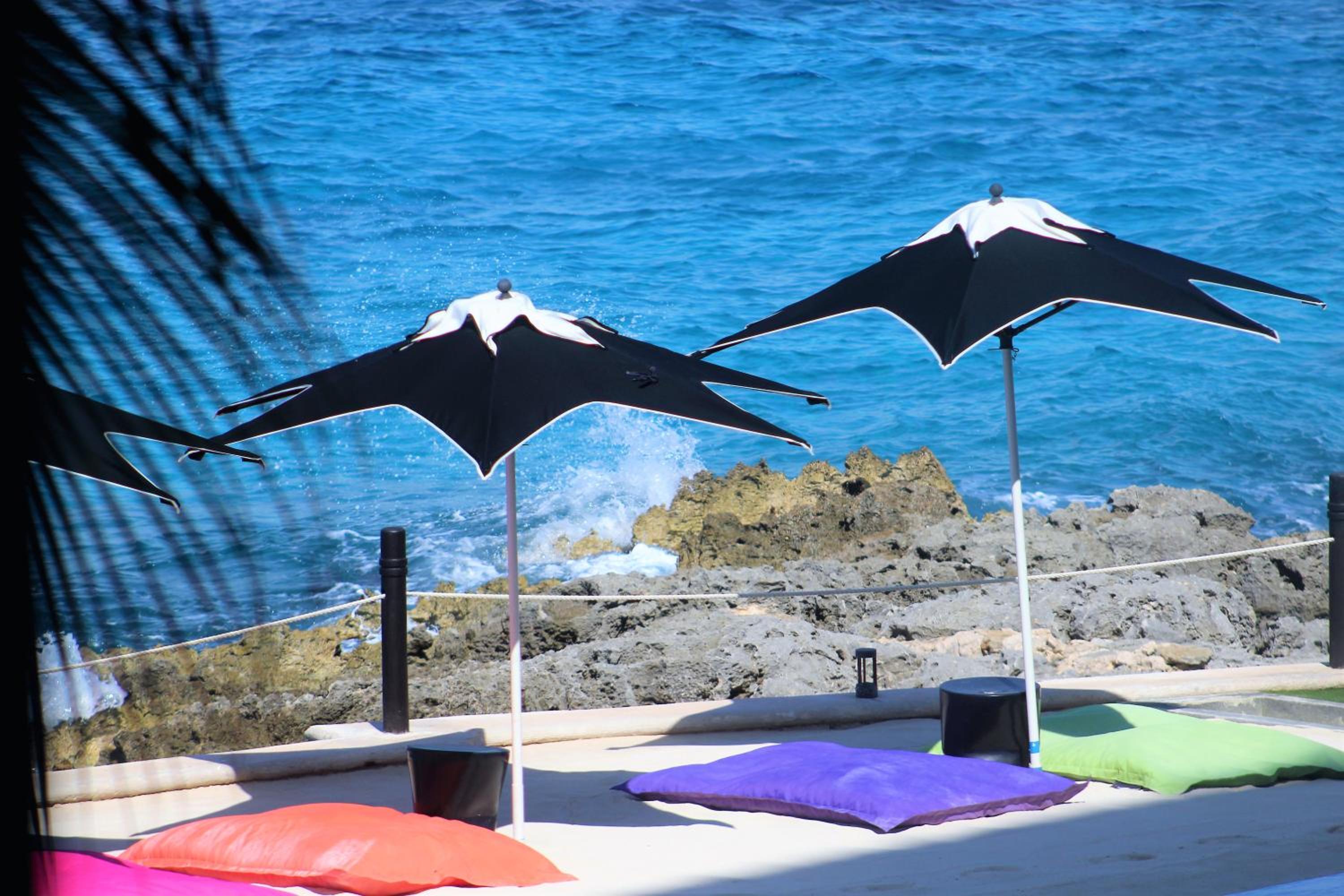 Coral Princess Hotel  Dive Resort - Property Image 65