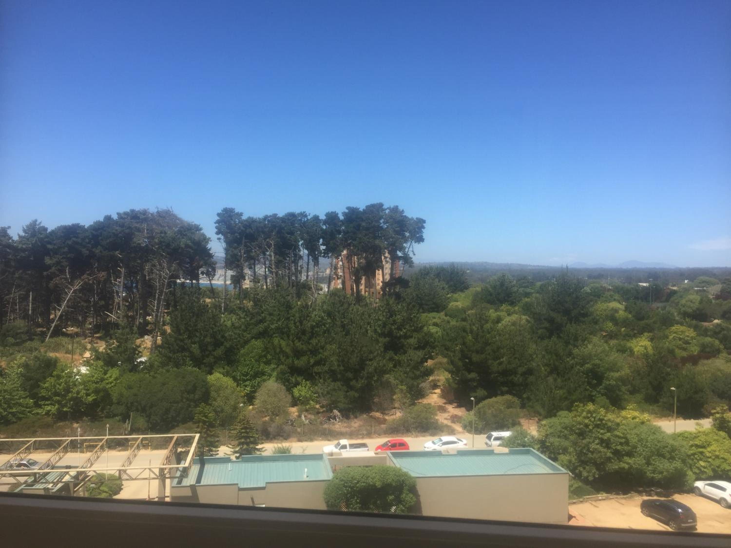 Departamento Pinares del Canelillo