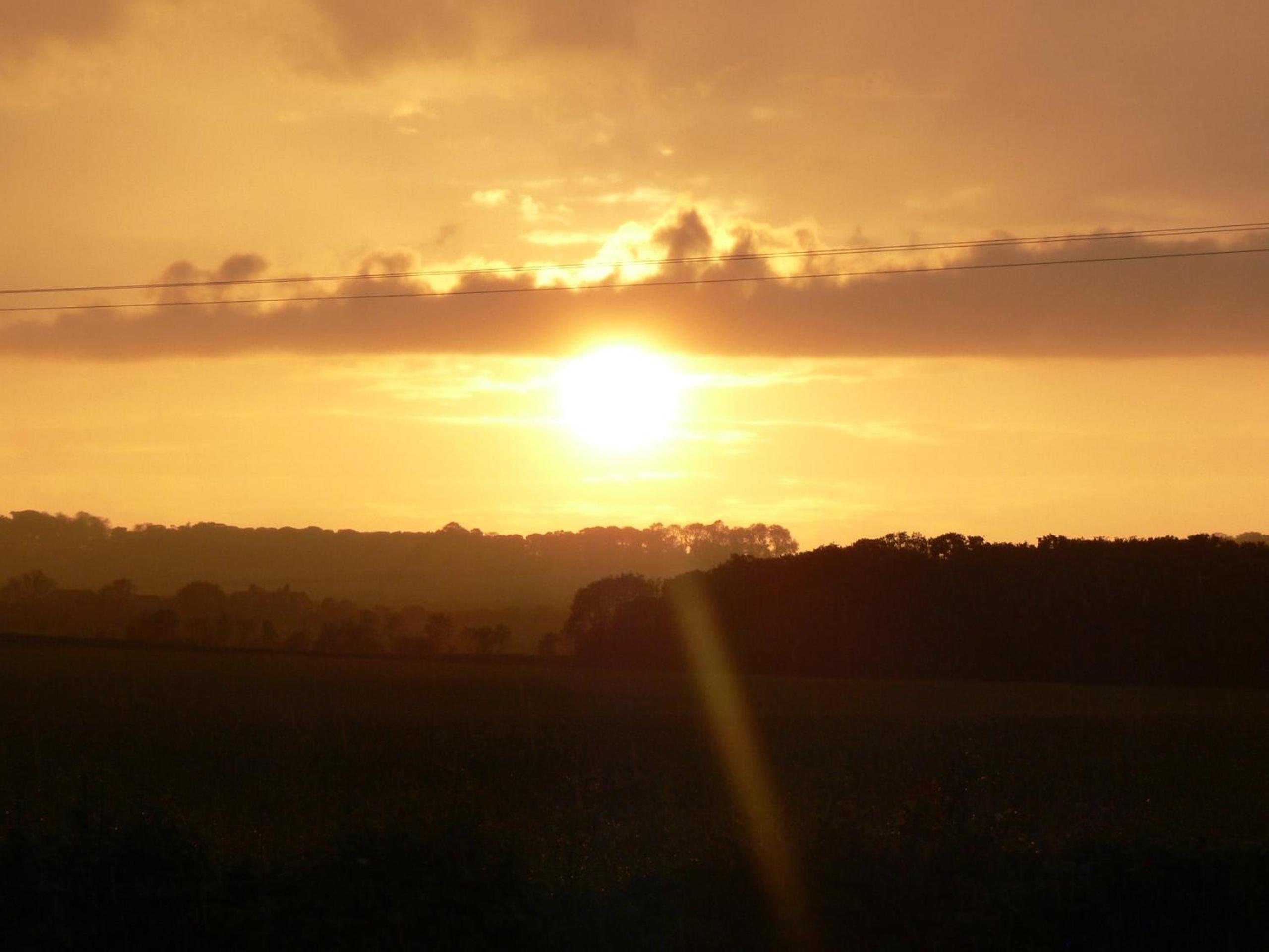 Photo 45