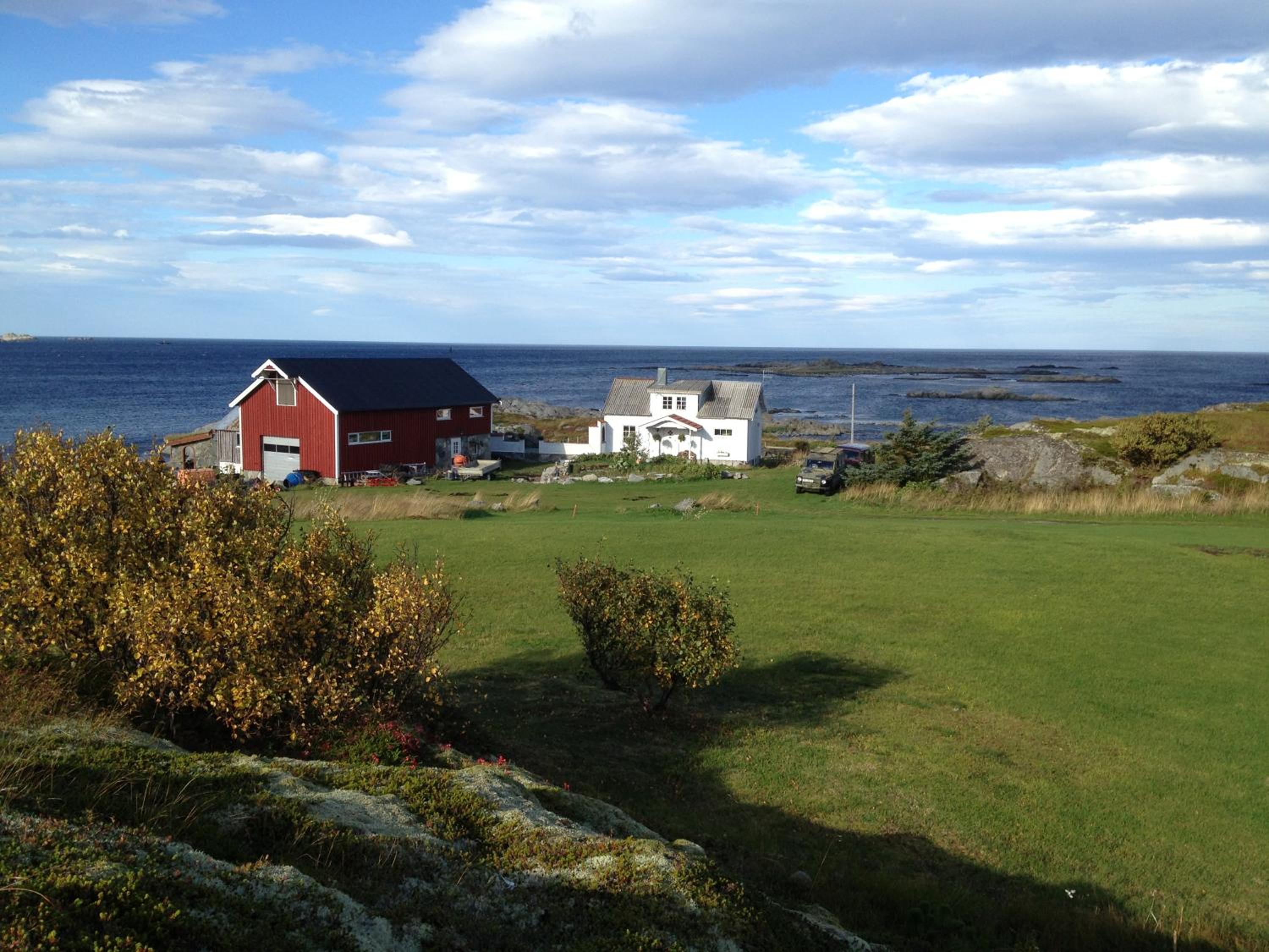 Photo 44