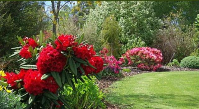 Tui Lodge view 4