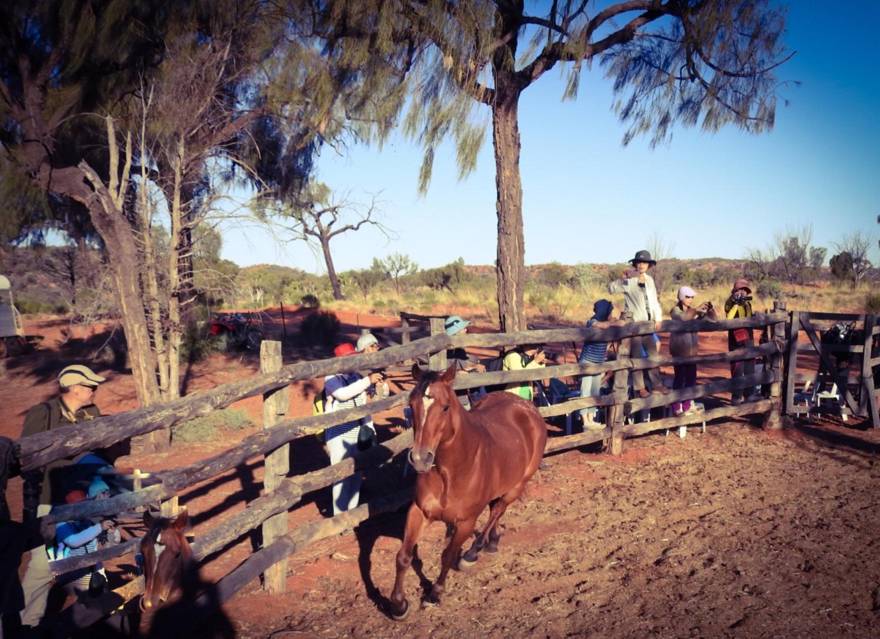 Ooraminna Homestead