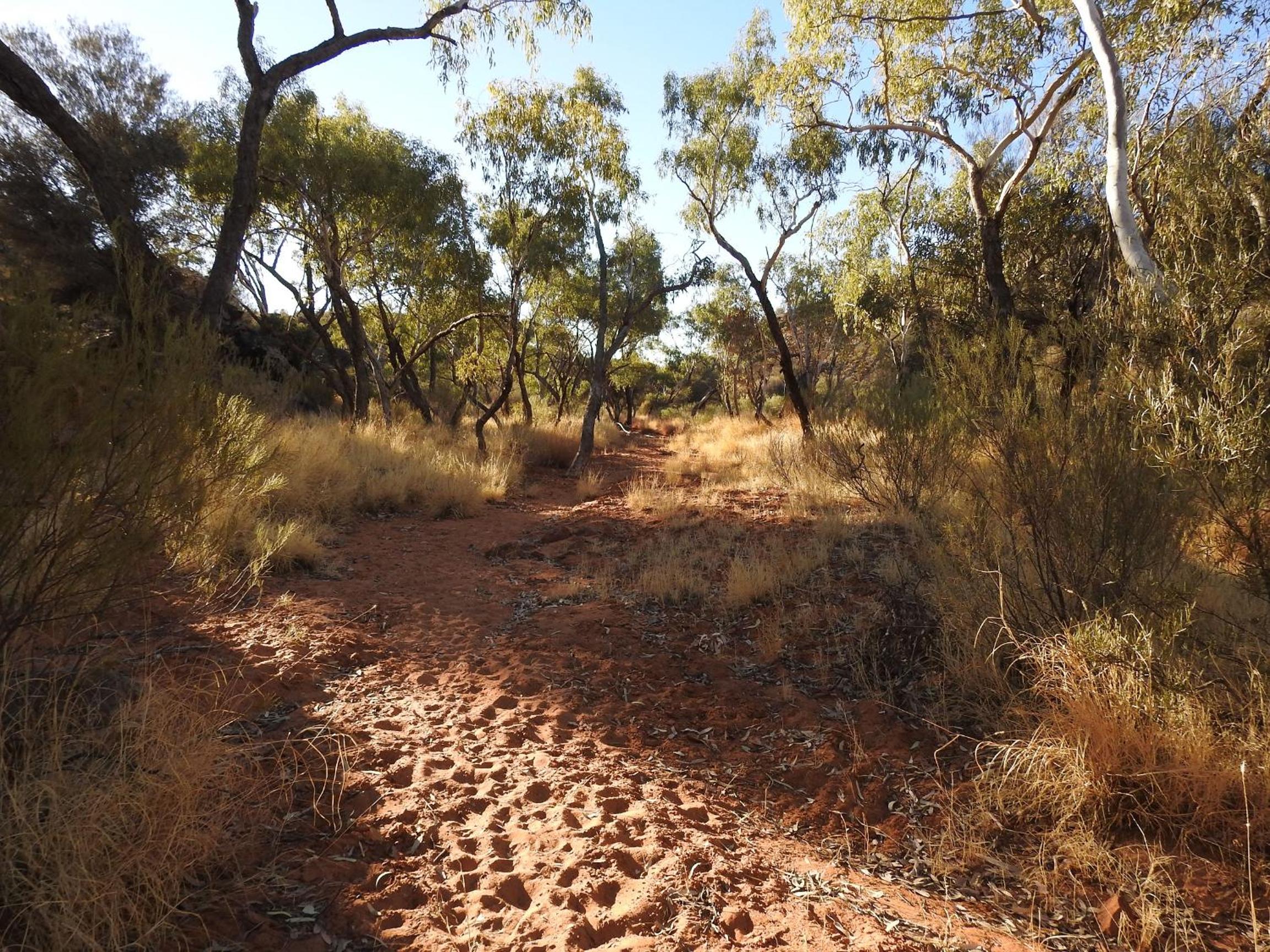 Ooraminna Homestead