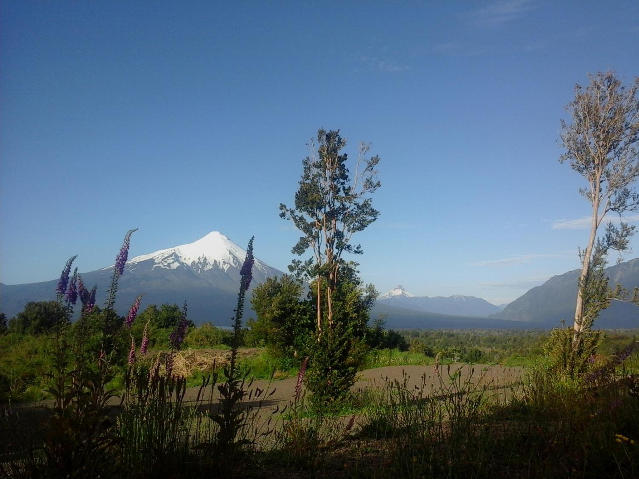 Topahue