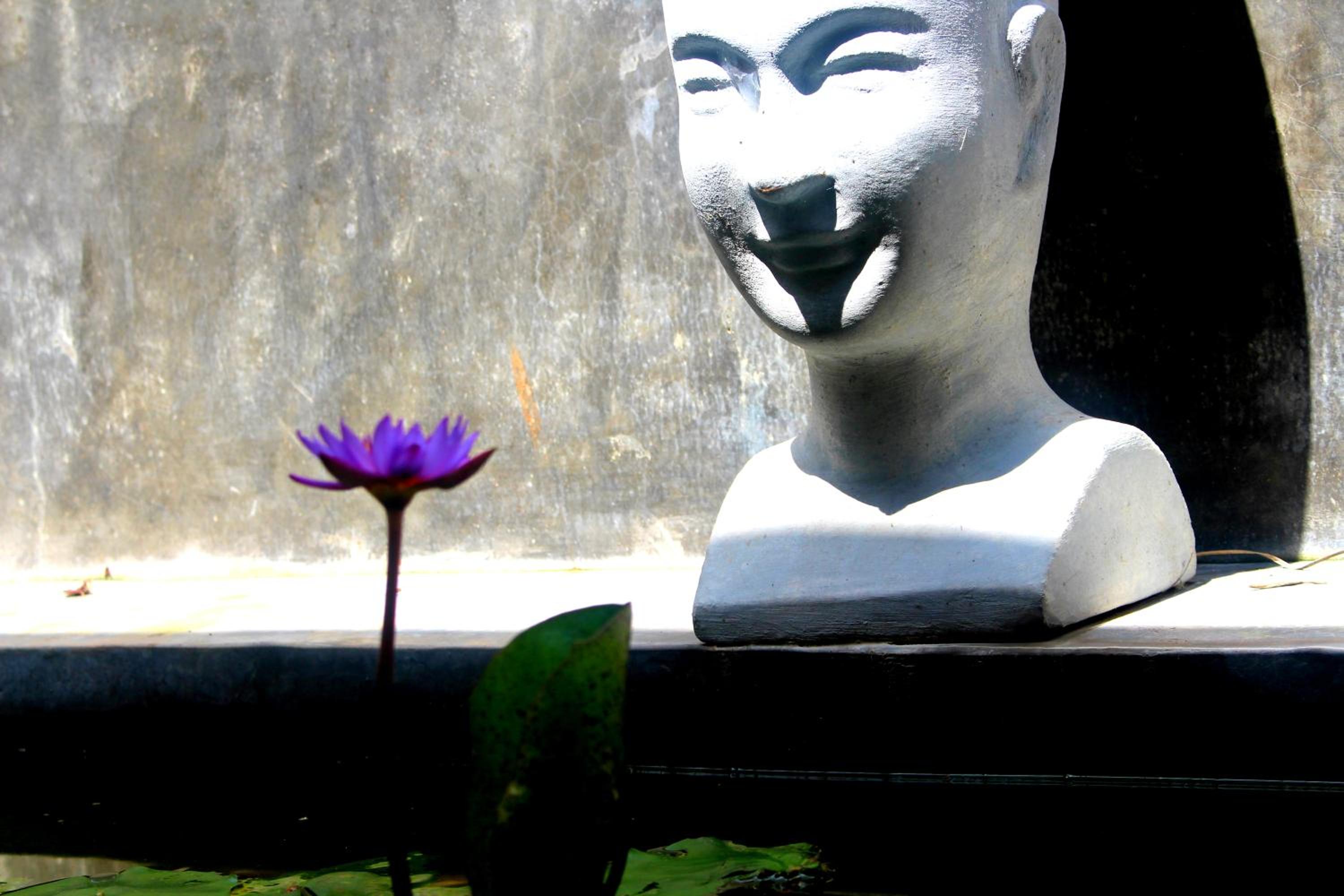 Selnara Private Luxury Villa and Ayurveda Spa