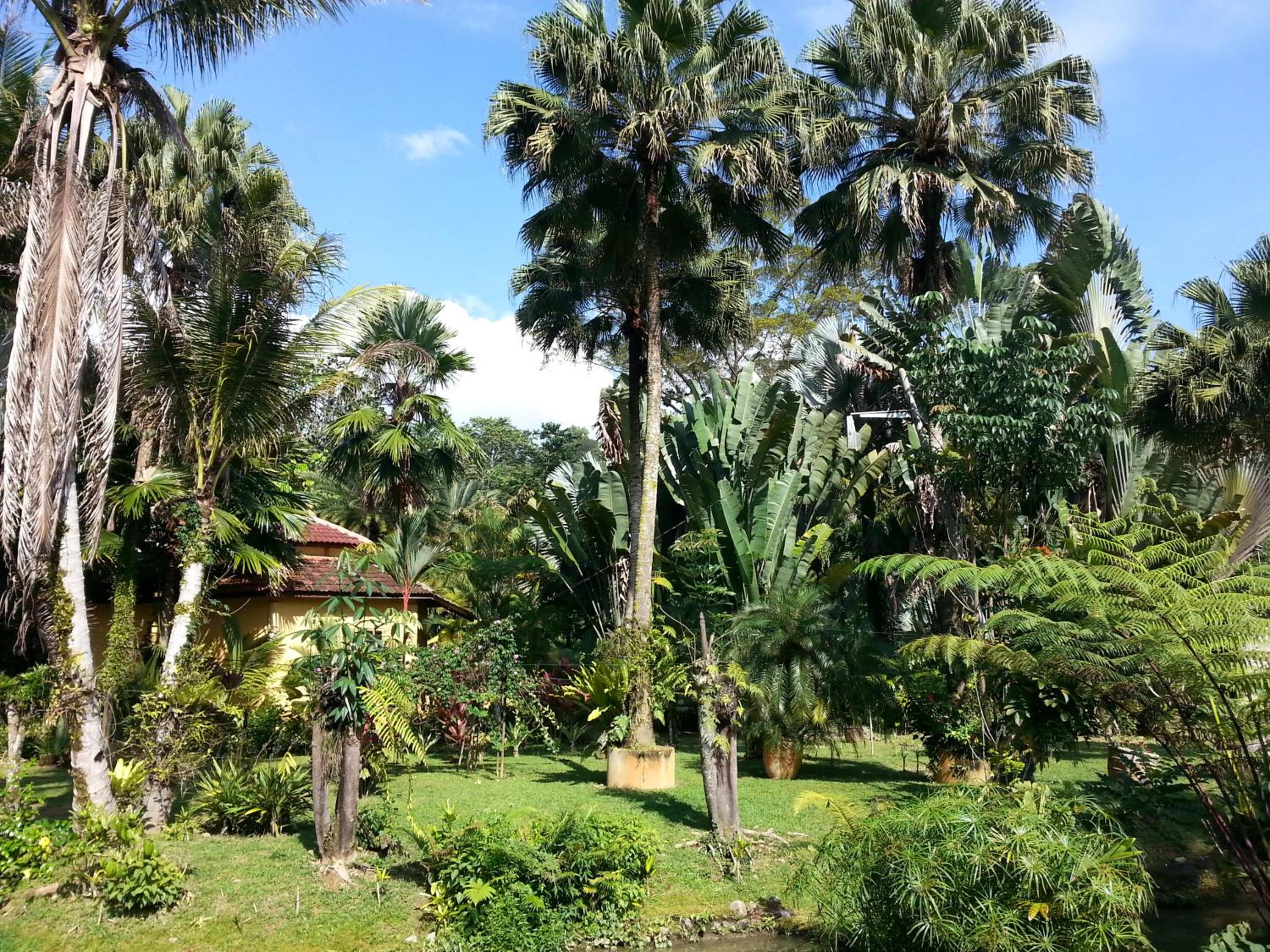Seri Pengantin Resort photo 7